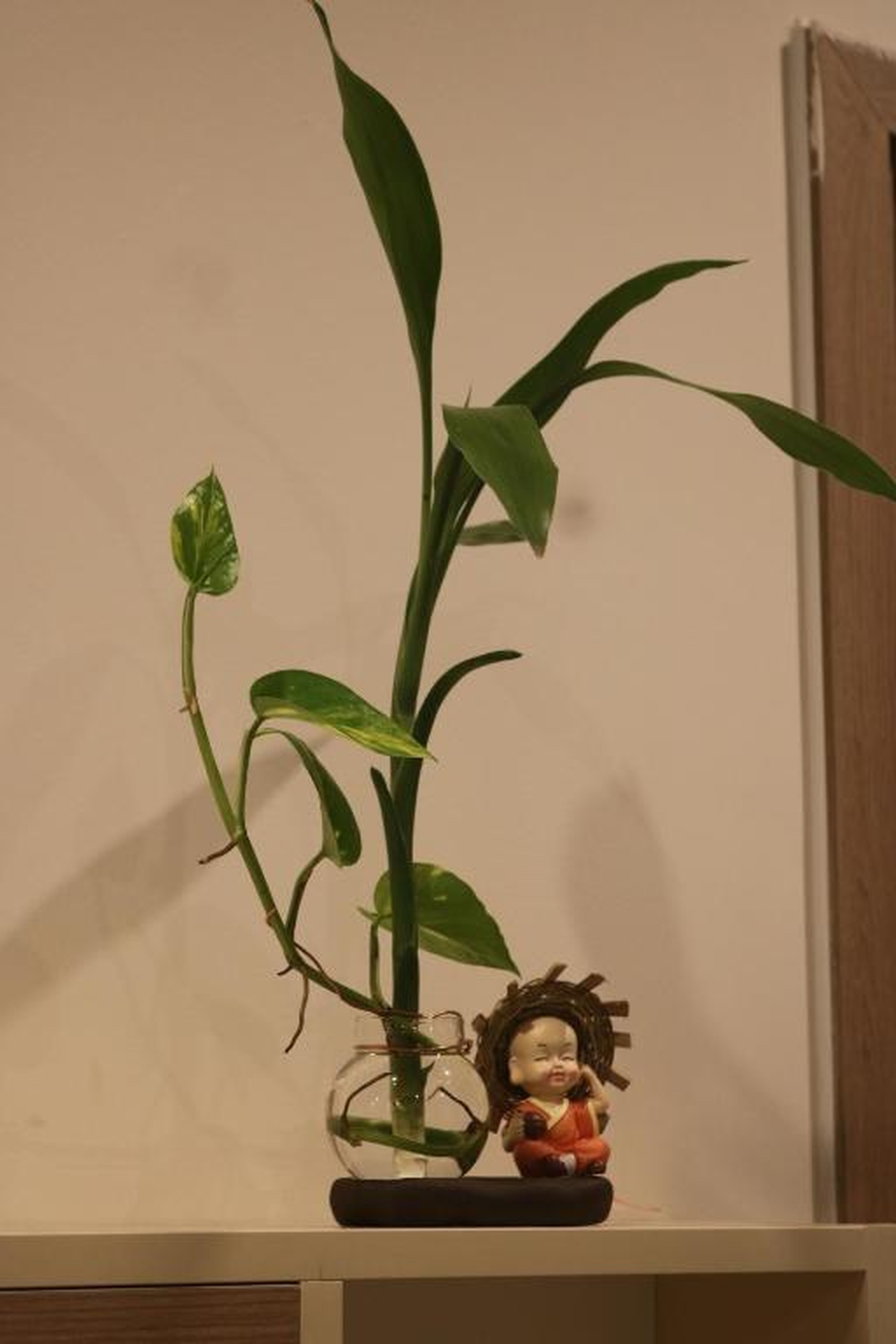 Chi Pi Homestay - Hình 8