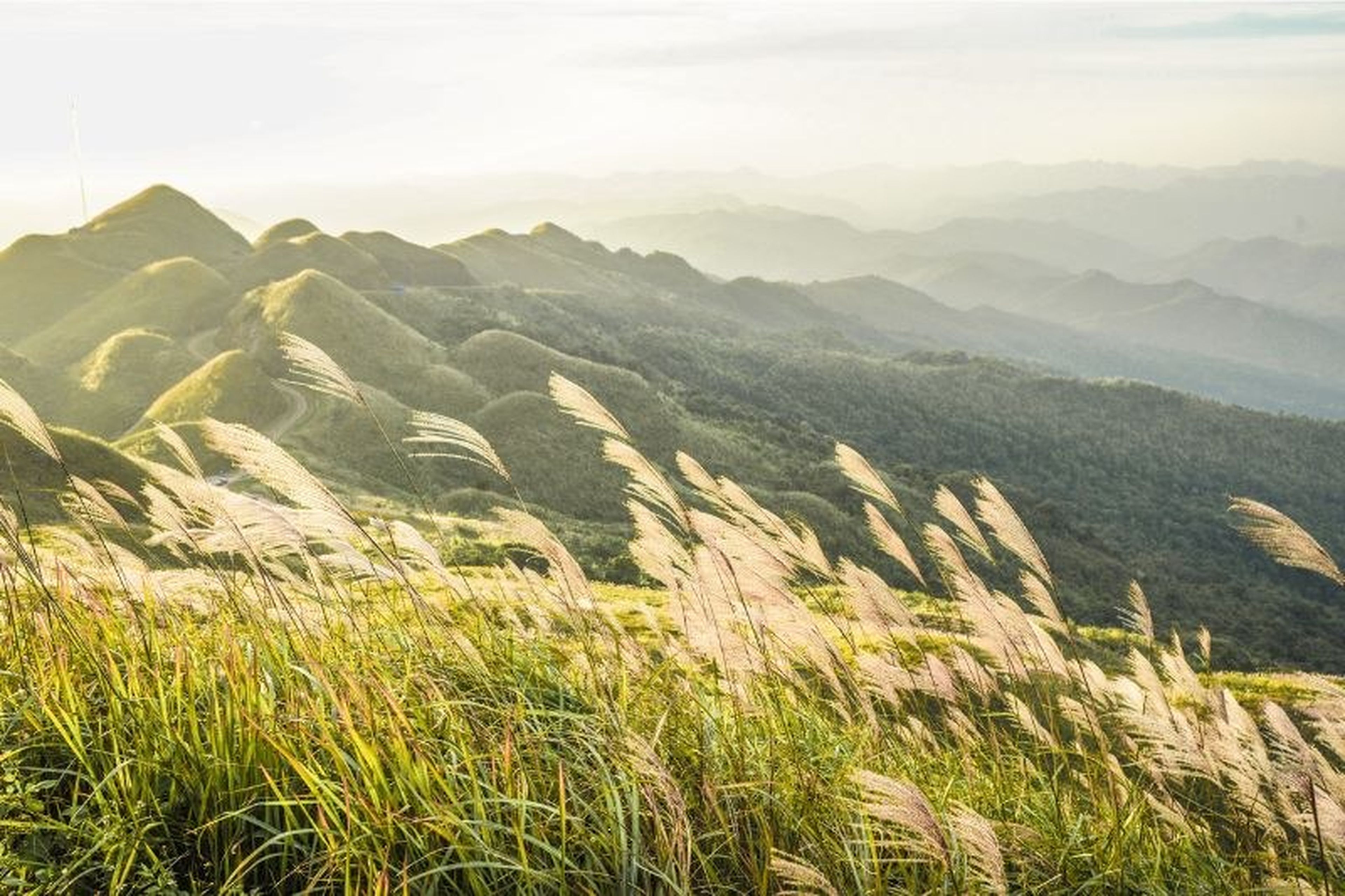 Kinh nghiệm du lịch Quảng Ninh hè chi tiết cho tín đồ xê dịch - Hình 4