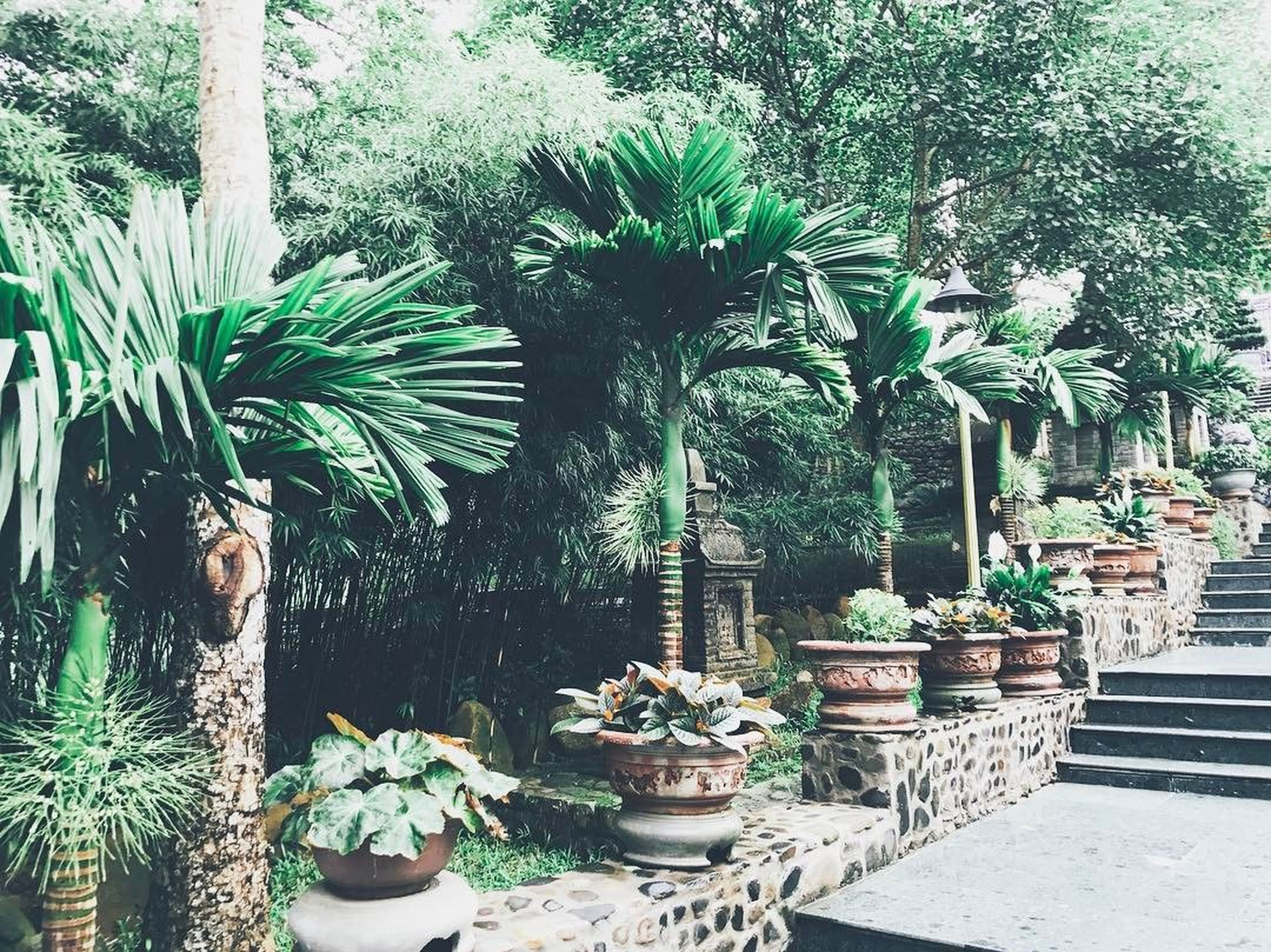 安子寺——离开喧嚣都市，朝圣清净之地 - Hình 7