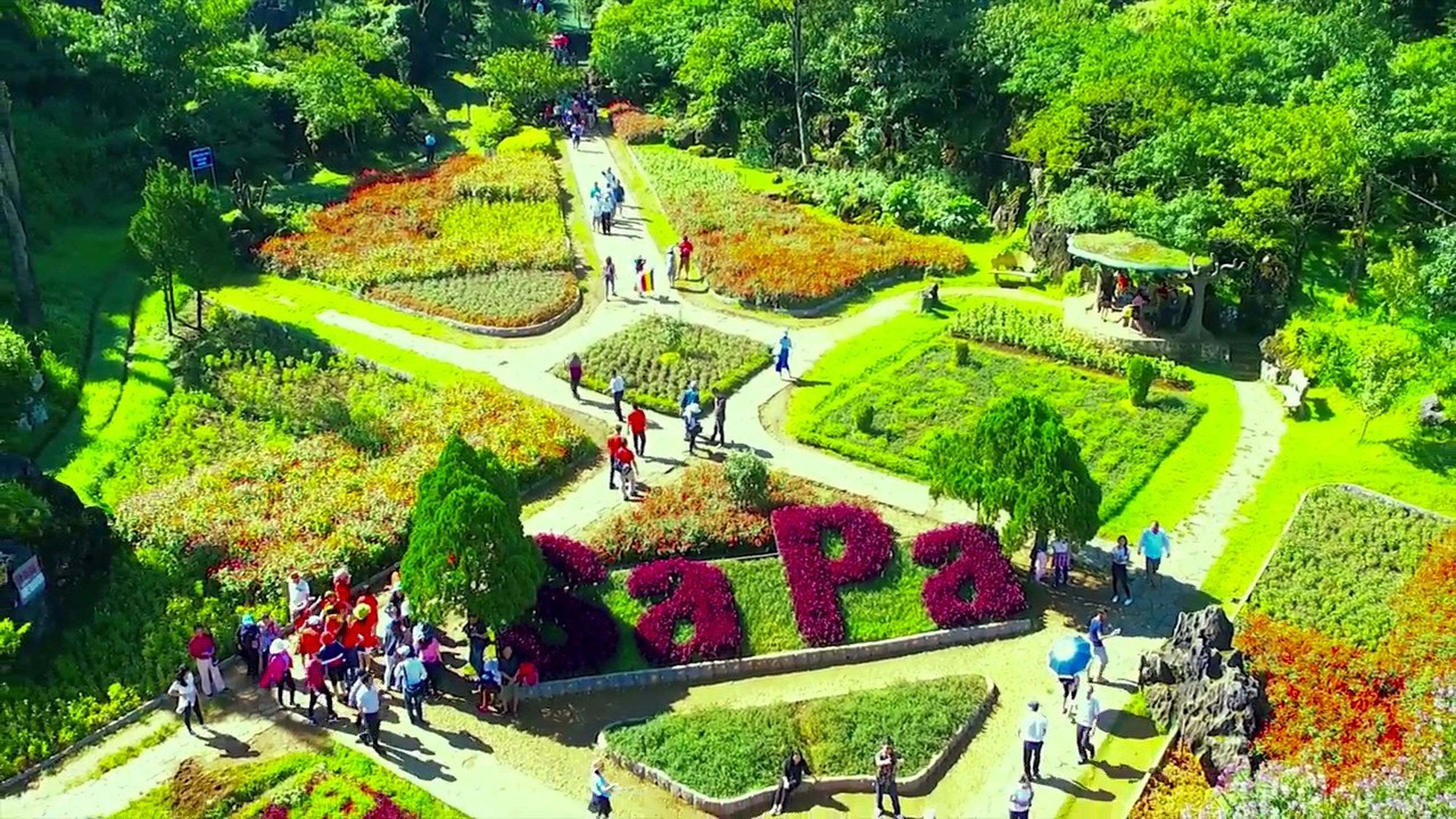 4-Day, 3-Night Northern Vietnam Tour: An Unforgettable Journey Exploring Hanoi – Ha Long – Ninh Binh – Sapa - Hình 22