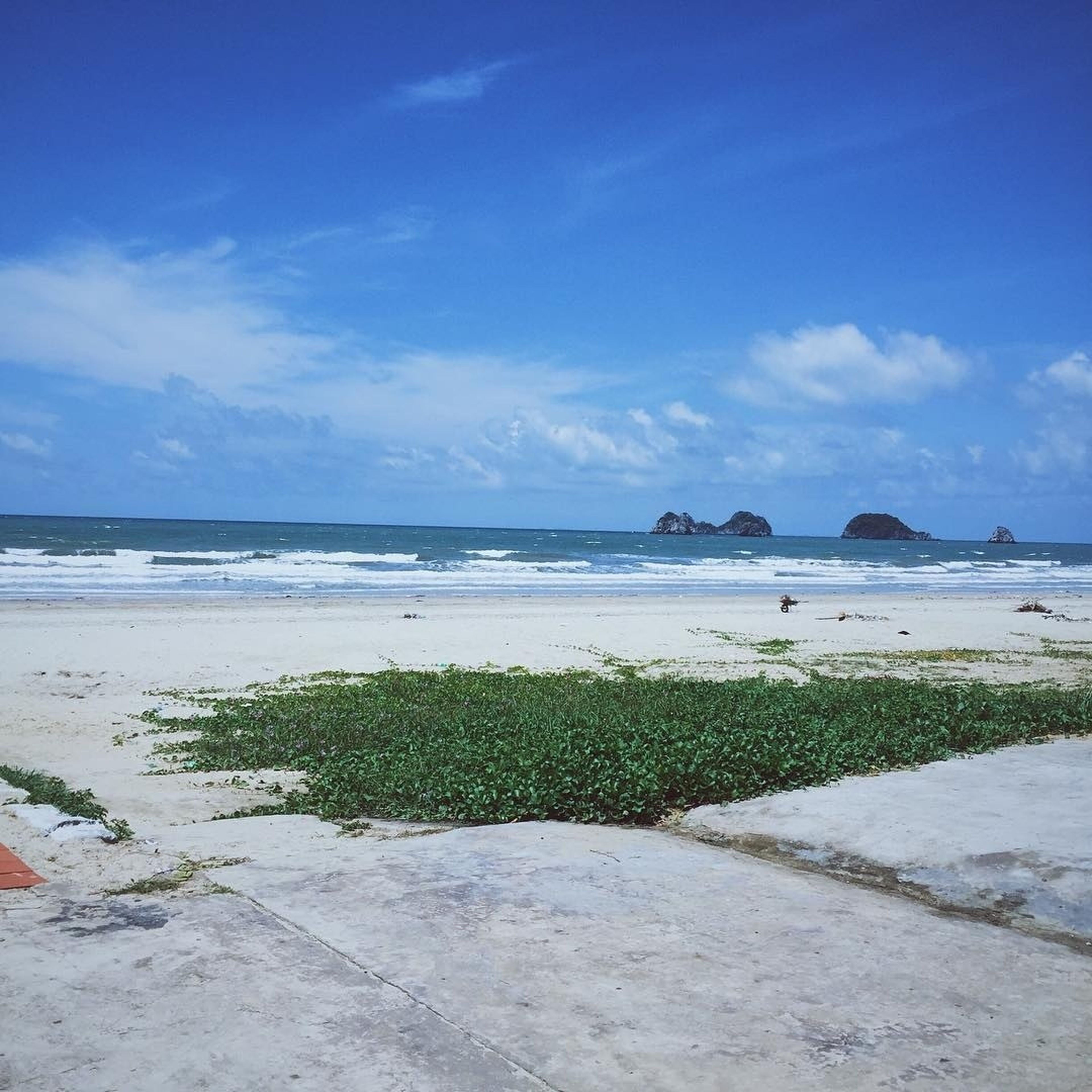 Discover Ngoc Vung Island: Peaceful Yet Remarkably Captivating - Hình 2