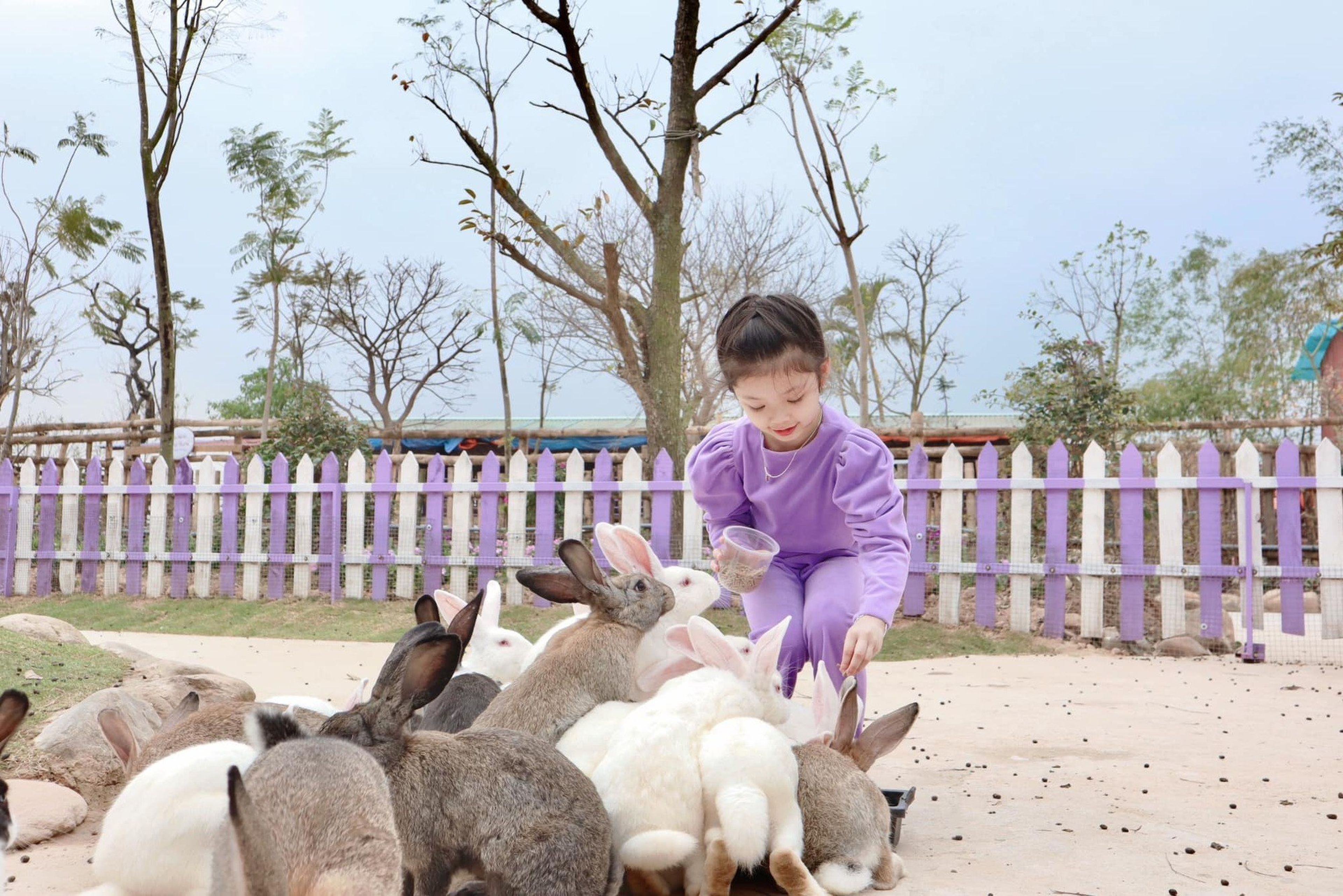Phá đảo thiên đường vui chơi Quảng Ninh Gate từ A-Z - Hình 10