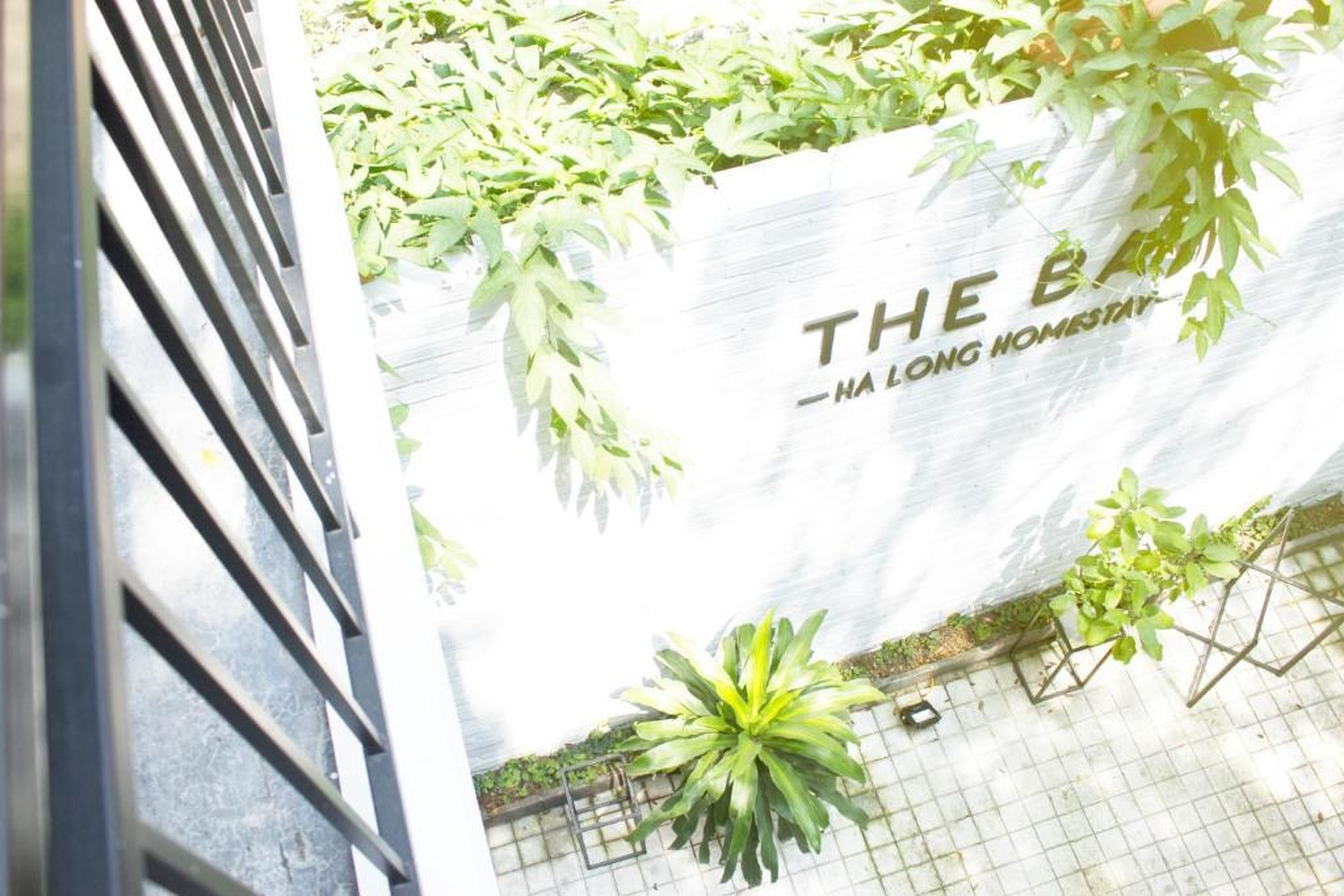 The Bay - Ha Long Homestay - Hình 8