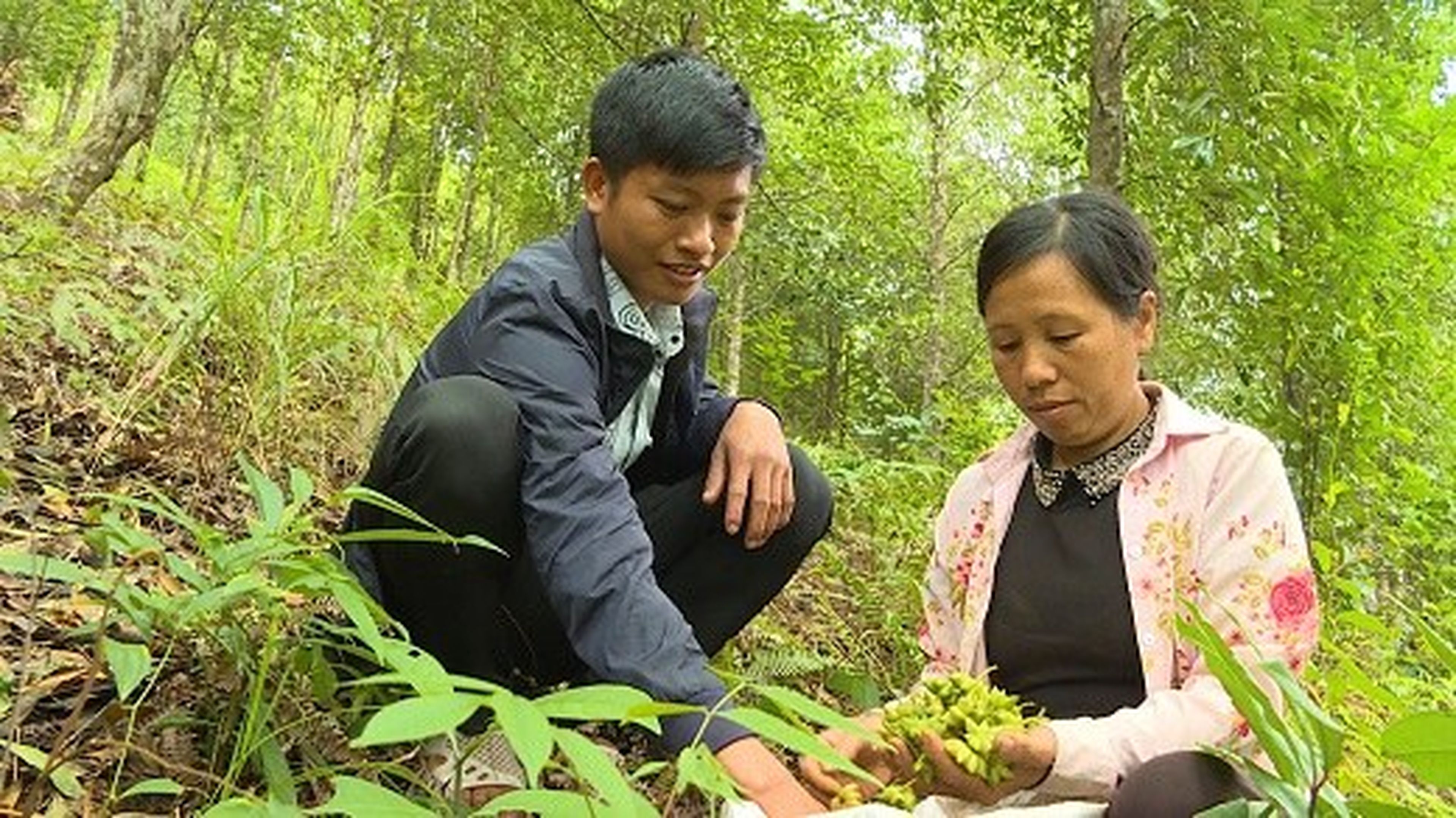 The Traditional Bài Incense-Making Craft in Quảng Ninh - Hình 8