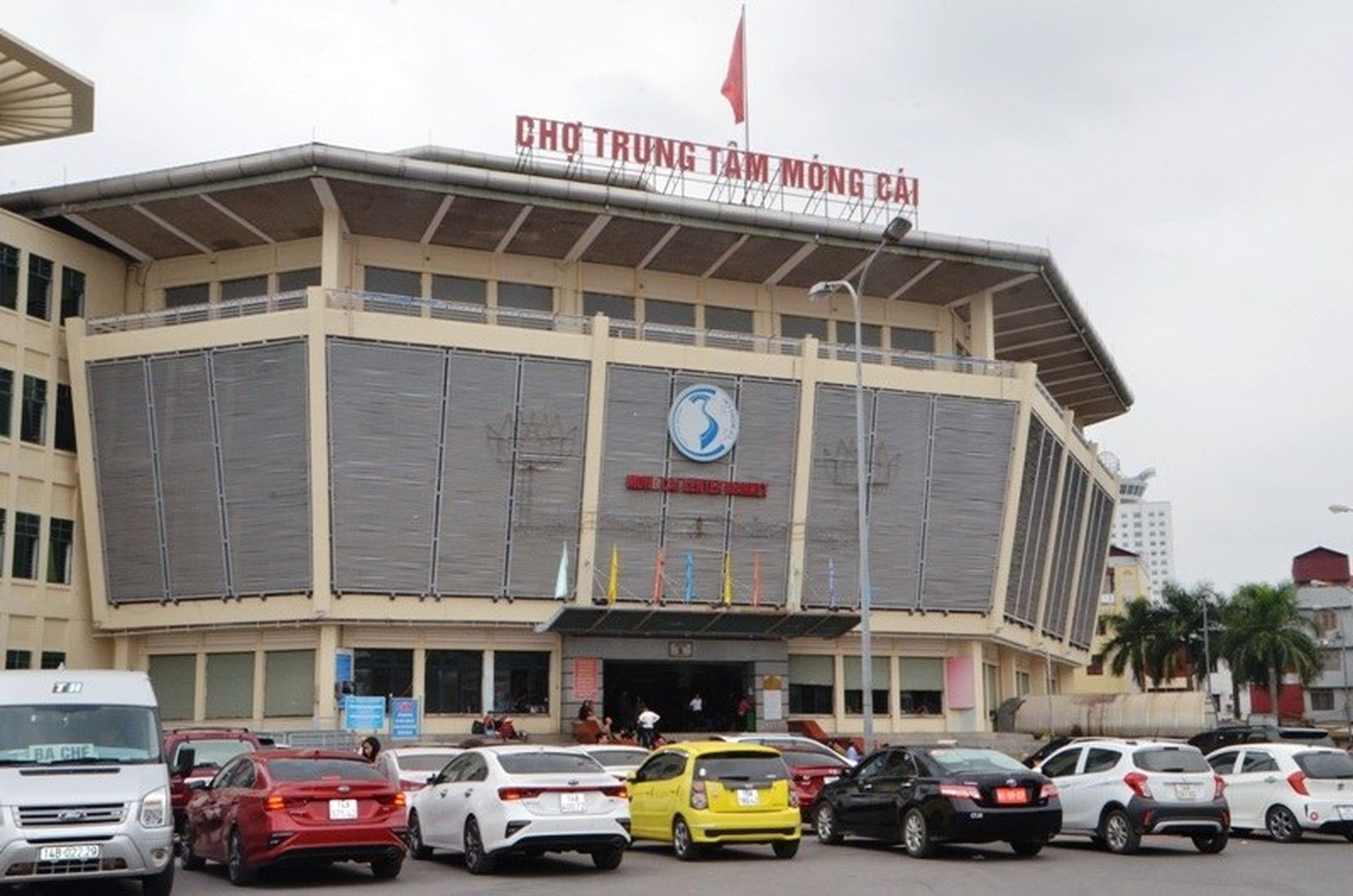 Tips for Independent Travel to Tra Co, Quang Ninh for First-Time Visitors - Hình 8