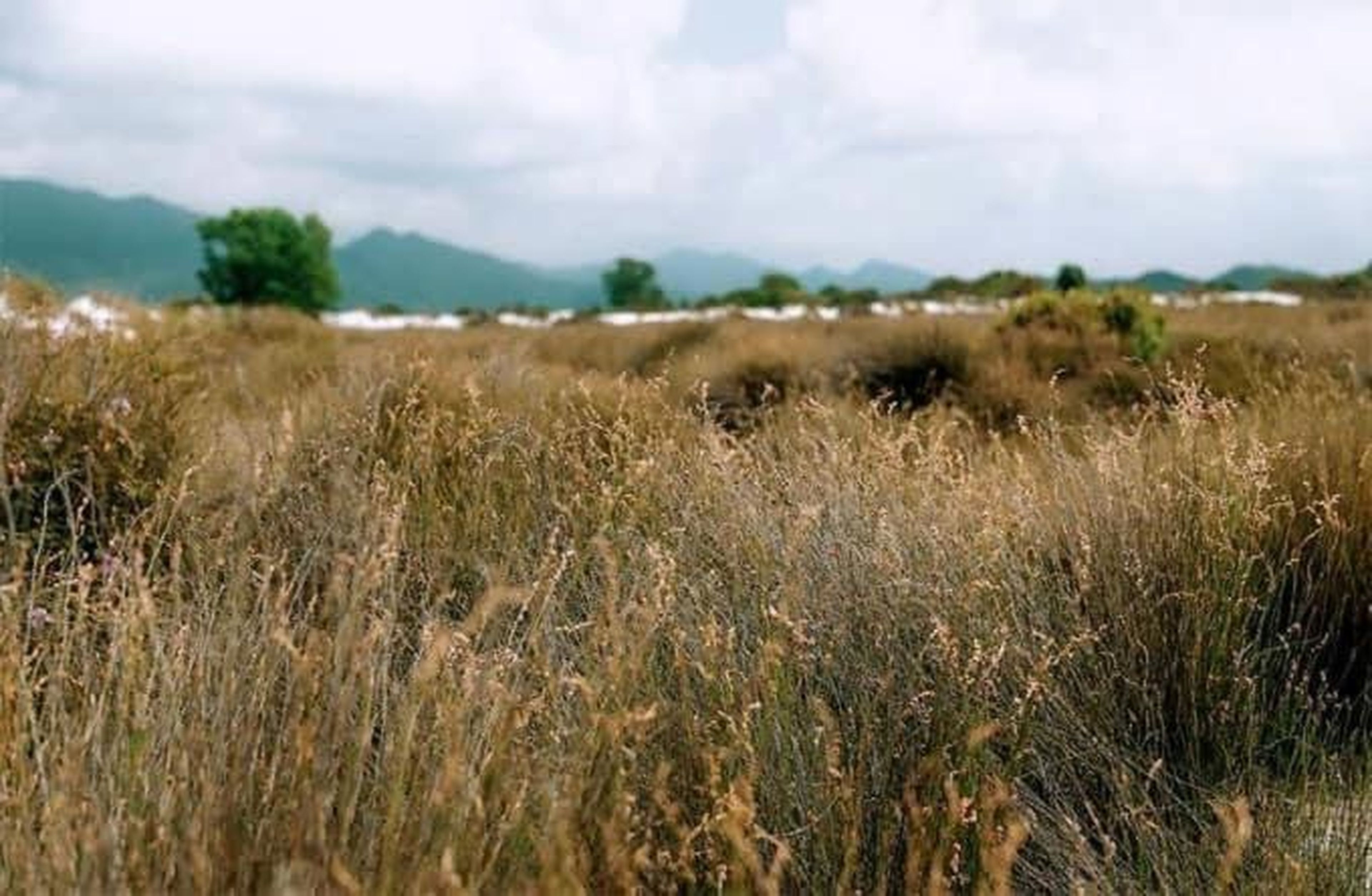 Nhà nghỉ phương thảo - Hình 35