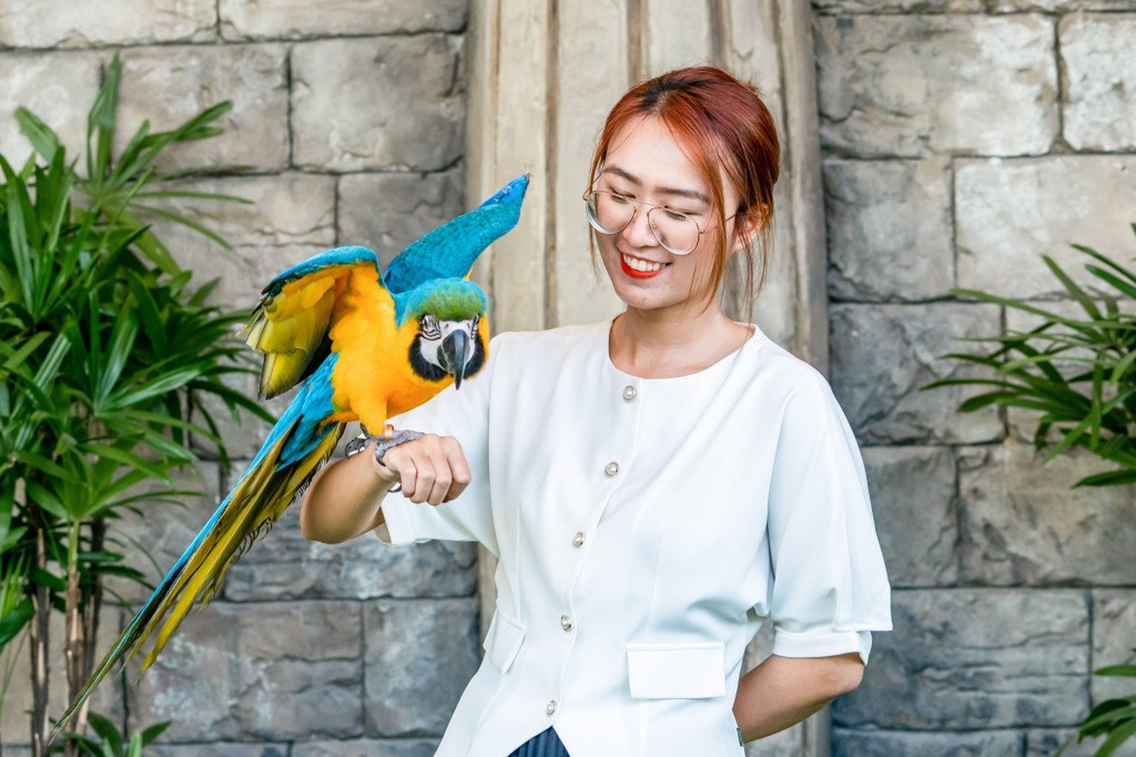 Sun World Ha Long – A World-Class Entertainment Complex on the Bay - Hình 2