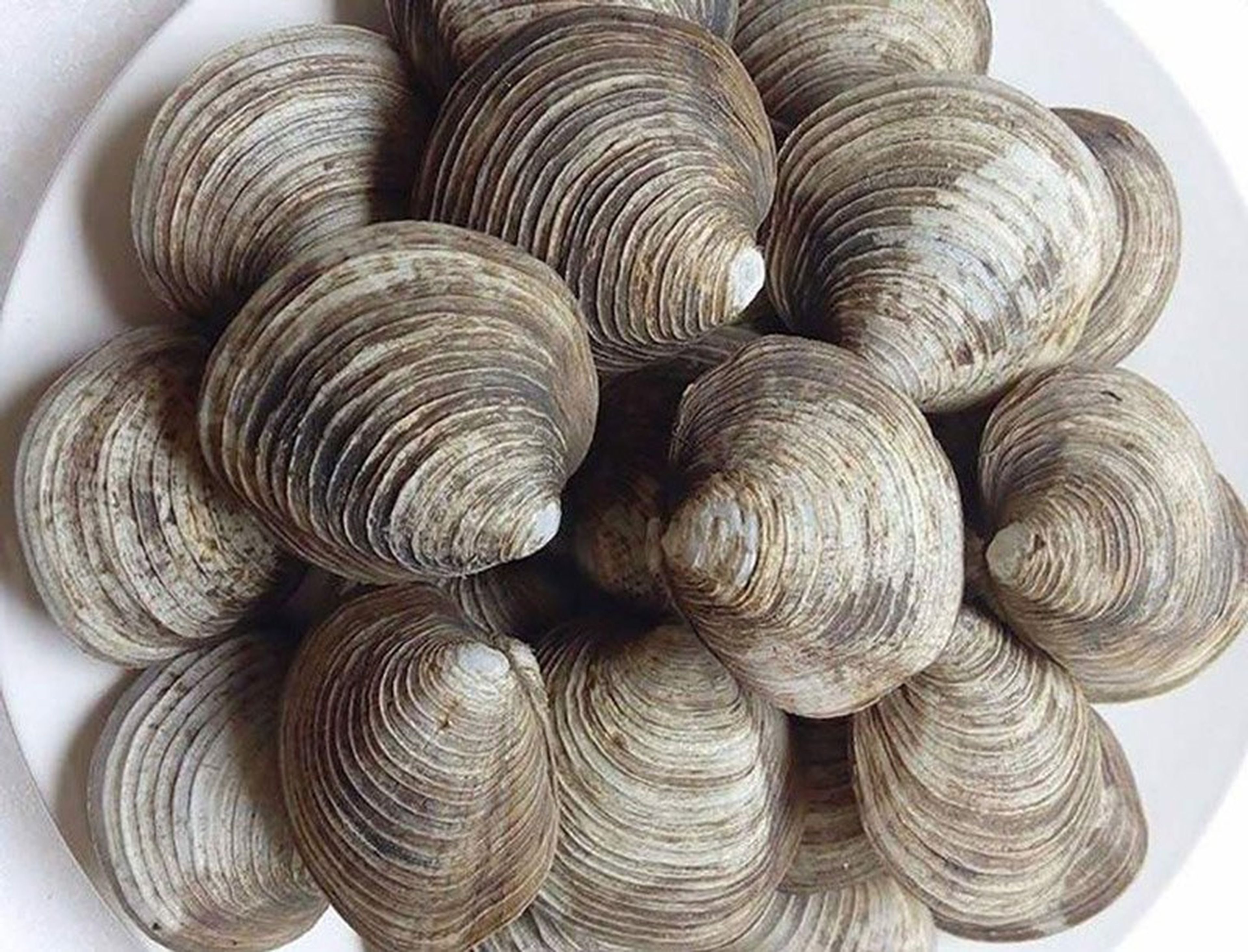 Ăn gì ở Hạ Long, tham khảo ngay danh sách 15+ món ngon nhất - Hình 4