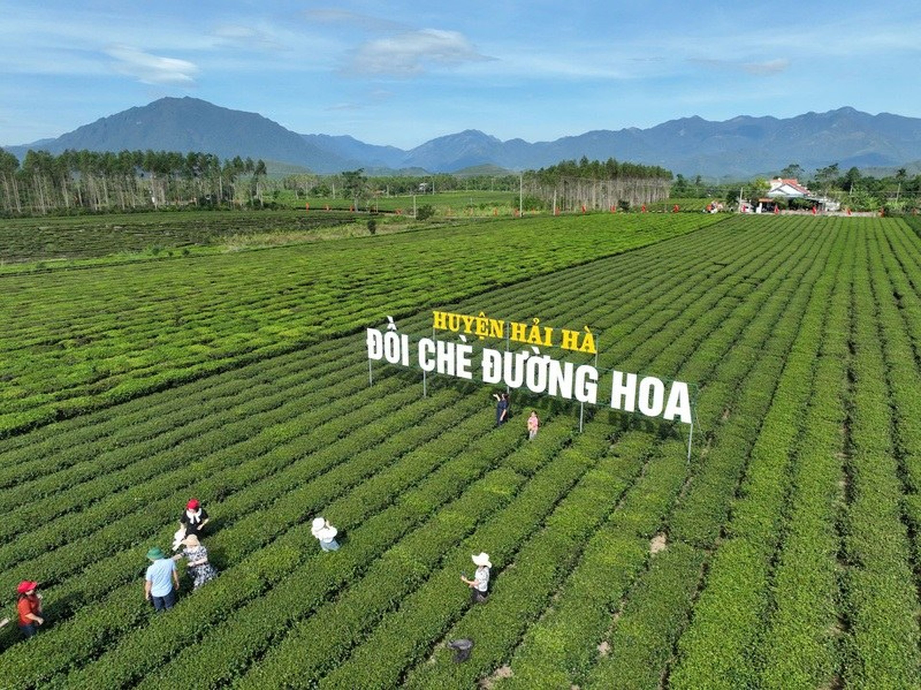 Review Hải Hà Quảng Ninh một miền núi biên giới đầy thú vị - Hình 8