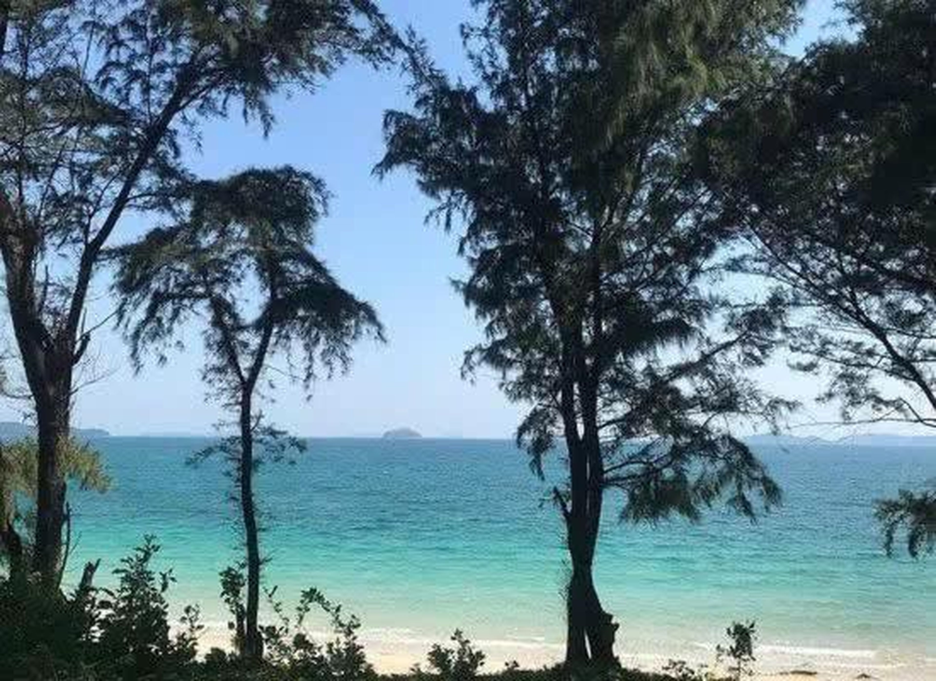 Co To Victory Homestay - Hình 36