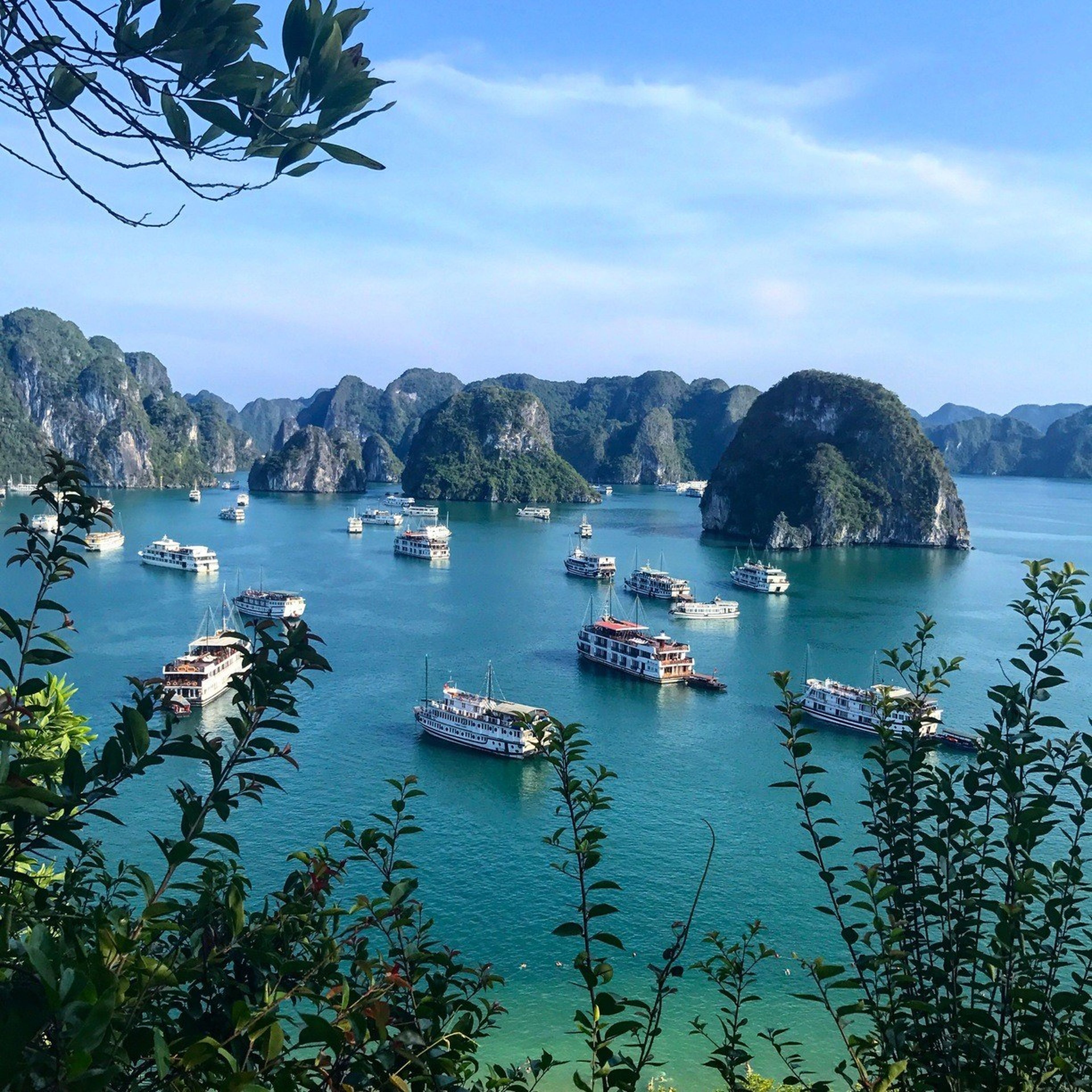 Đảo Ti Tốp: Ngắm nhìn hòn đảo bình yên giữa vịnh Hạ Long - Hình 16