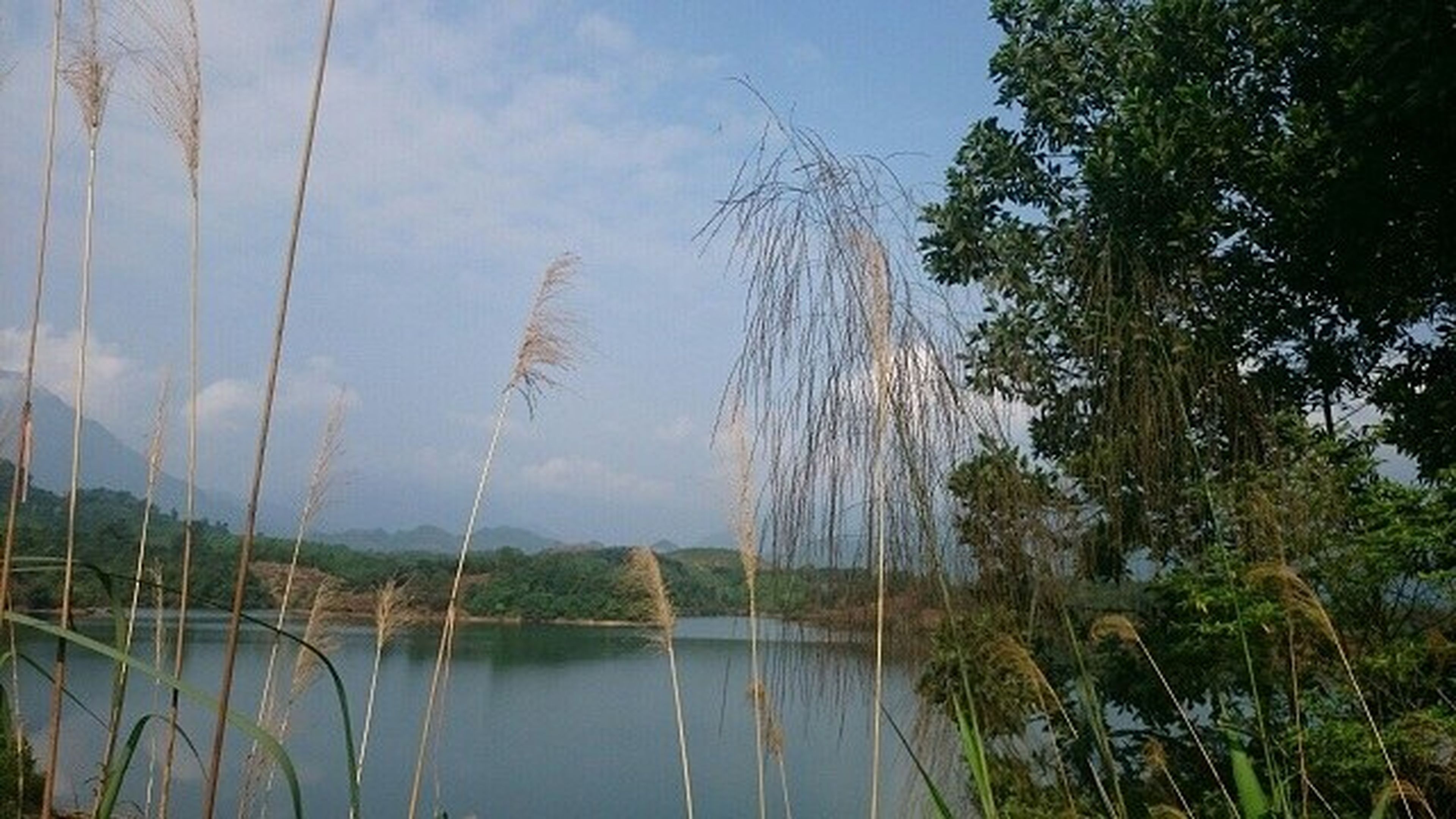 Hồ Trúc Bài Sơn – “Hồ trên núi” thơ mộng ở Quảng Ninh - Hình 4