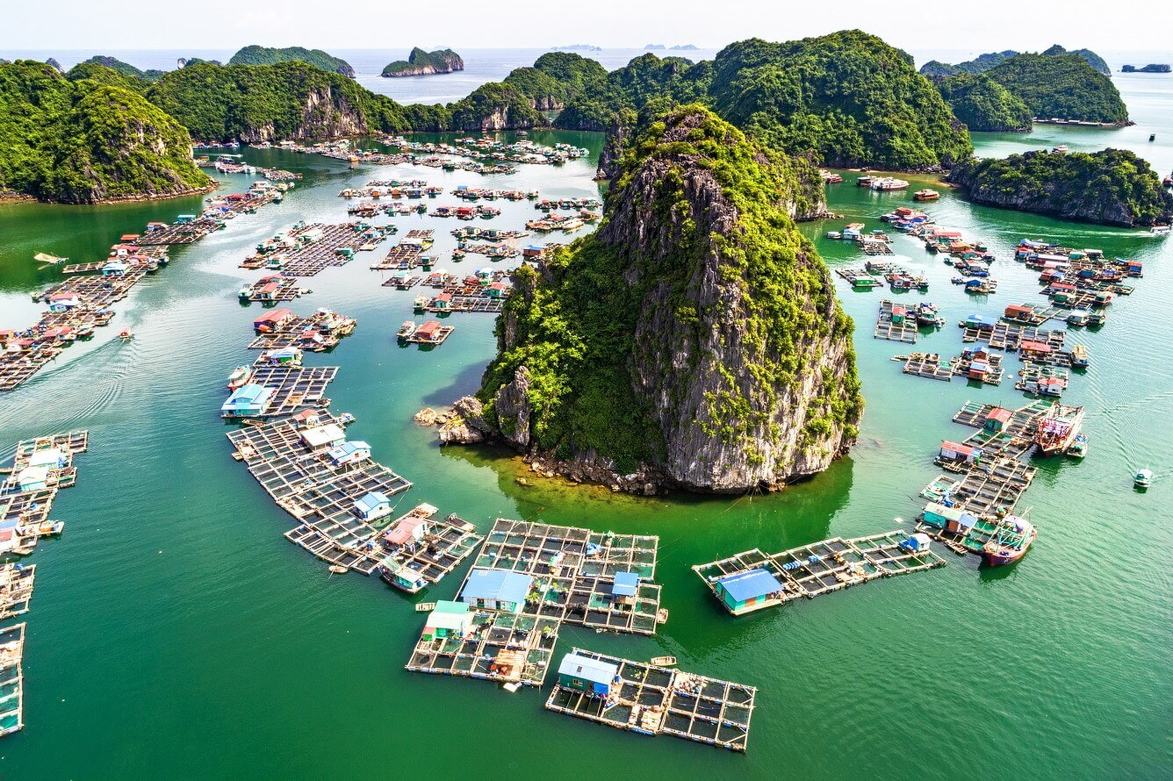 Đảo Tuần Châu - Khám phá hòn ngọc chói sáng trên vịnh Hạ Long - Hình 16