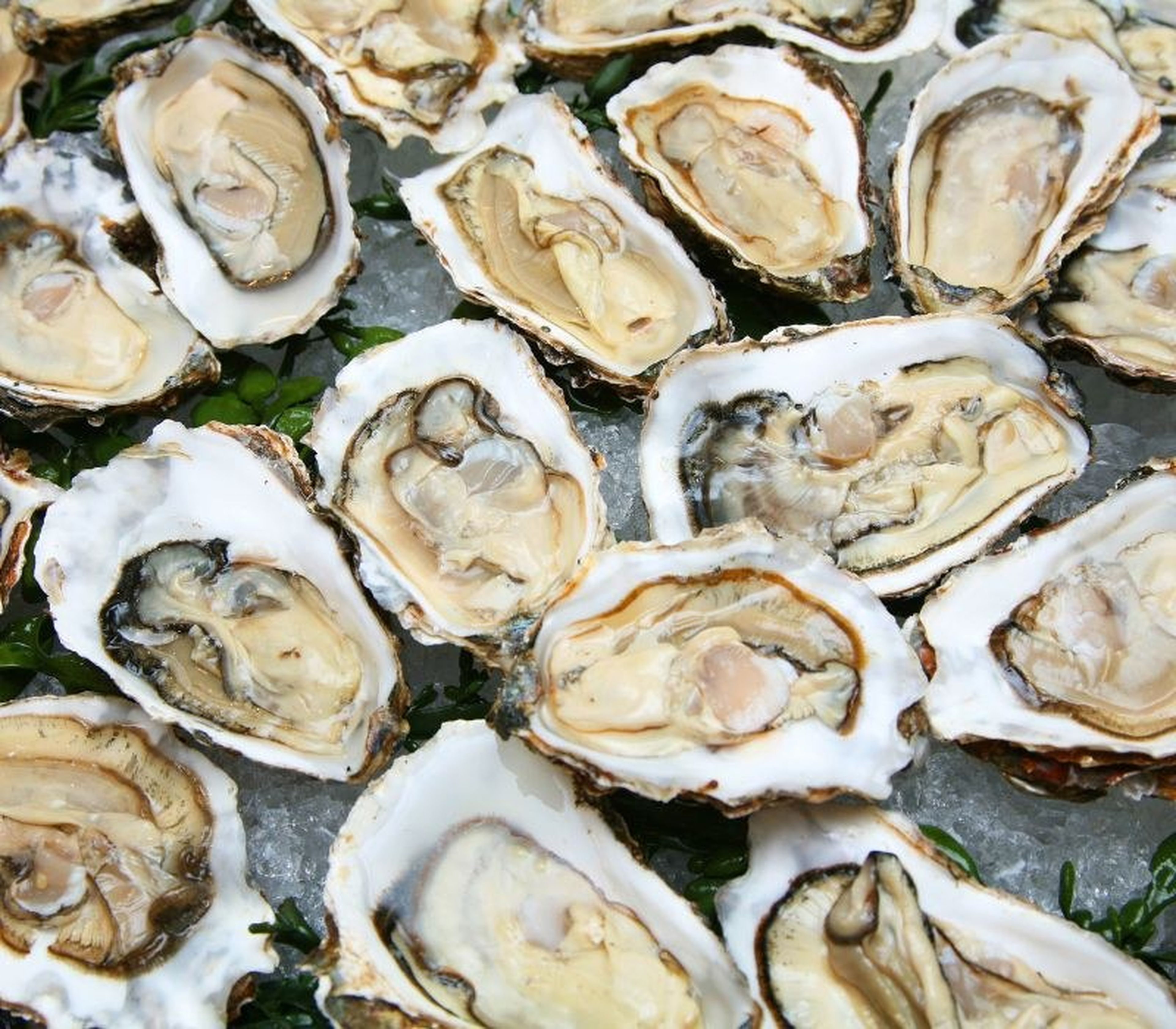 Quang Ninh Seafood: Culinary Quintessence from a Sea That Leaves a Lasting Impression - Hình 9