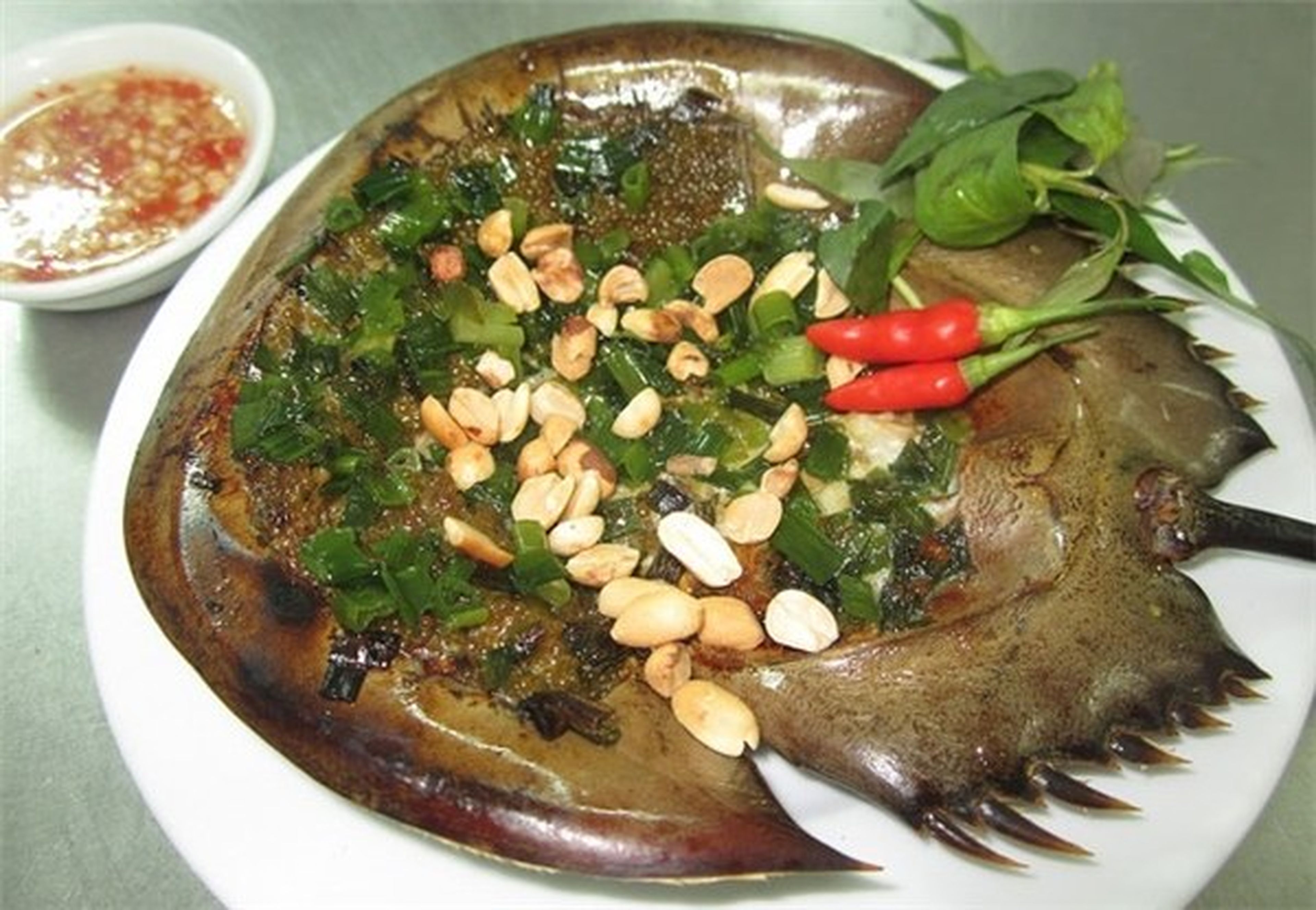 Sam 7 món Quảng Ninh – Đặc sản vùng cửa sông Bạch Đằng - Hình 7