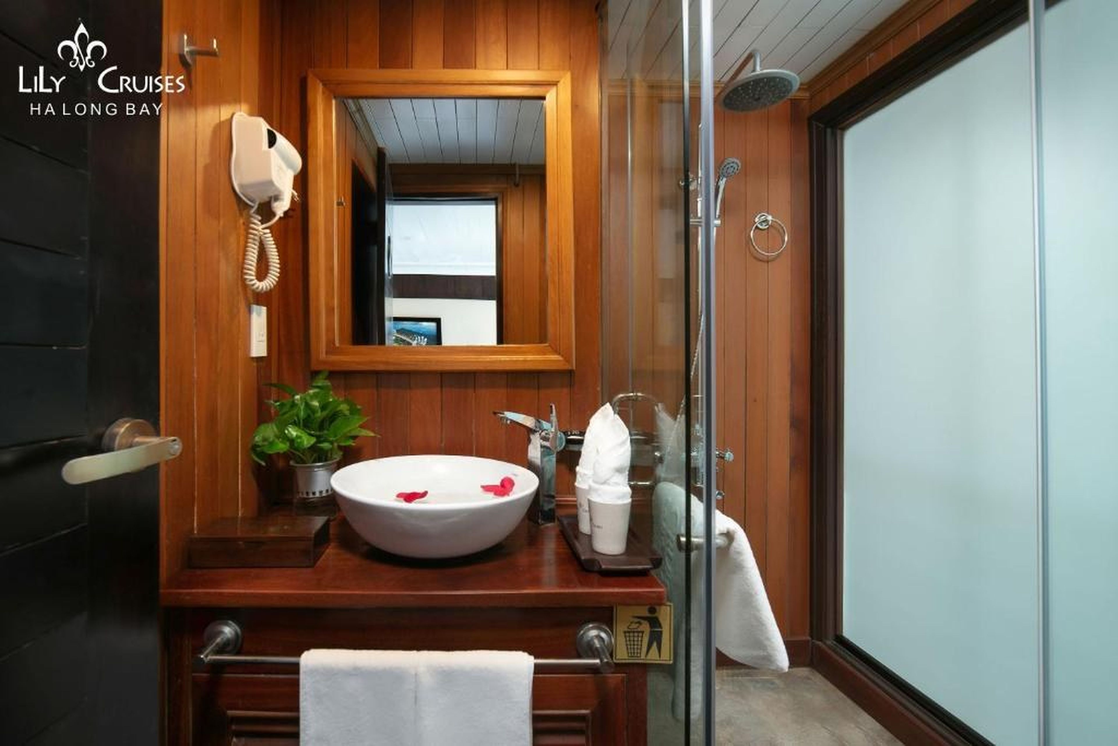 Lily Cruise - Hình 11