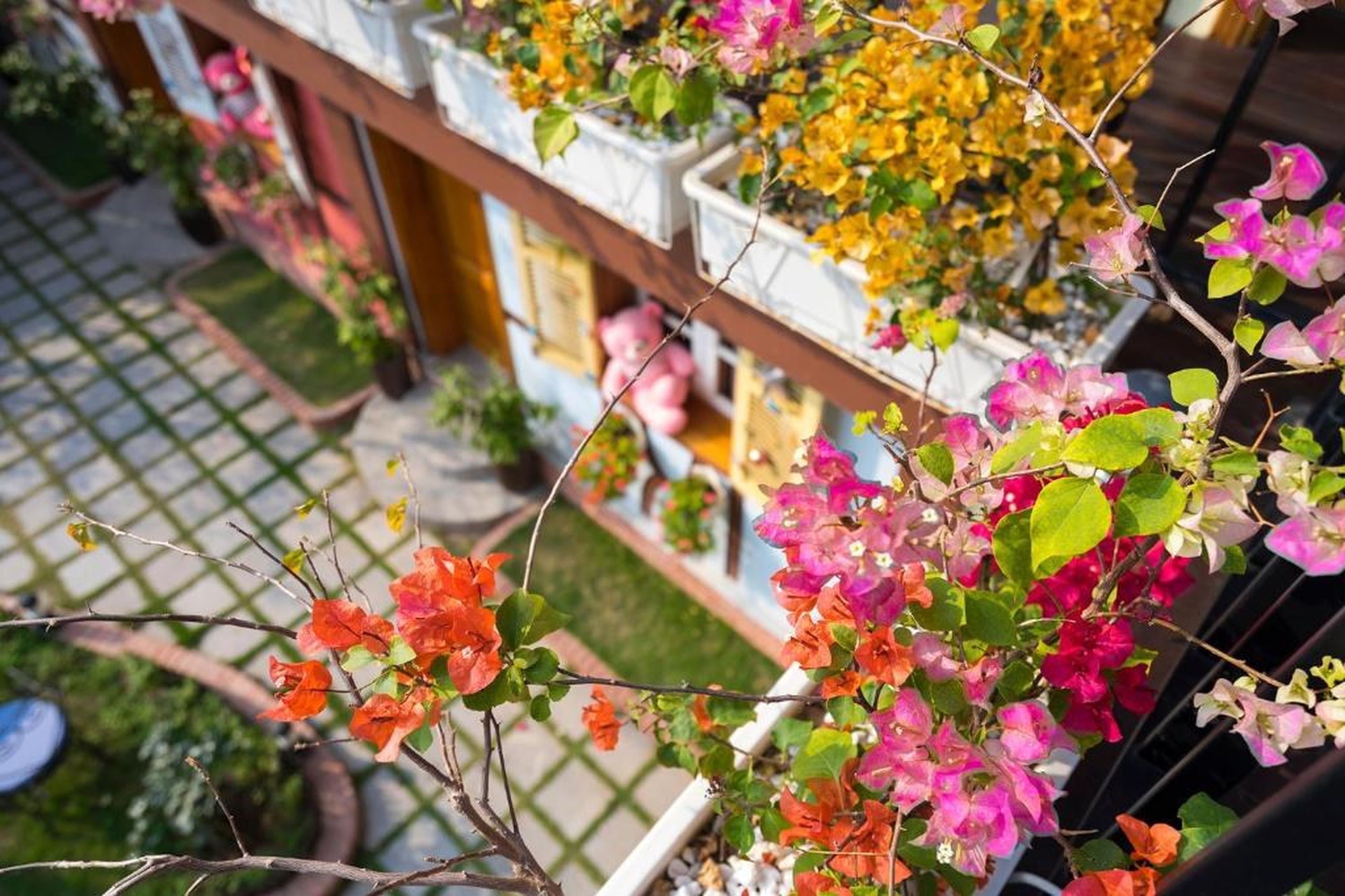 Little Colmar - Homestay & Pottery Studio - Hình 49