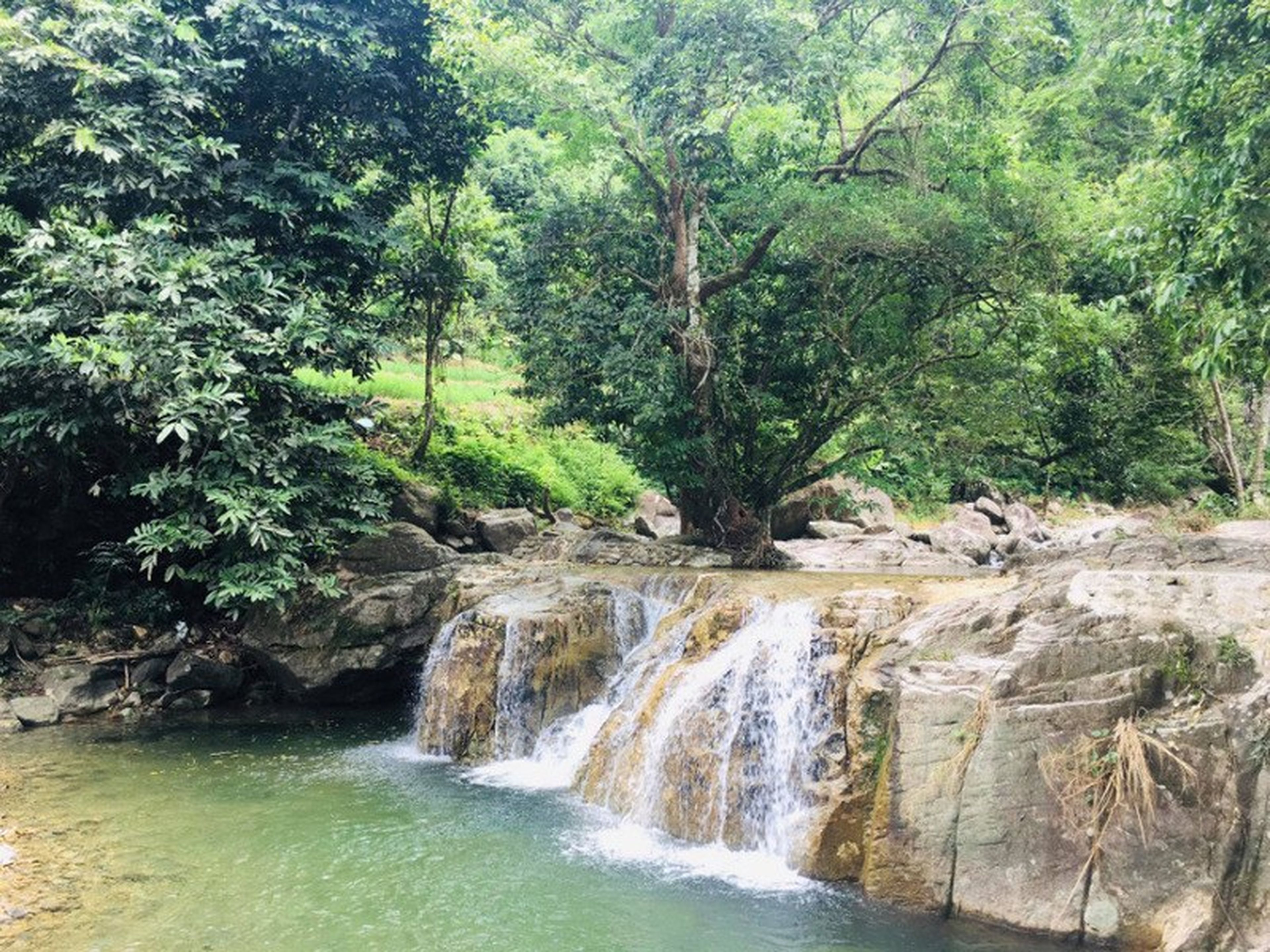Du lịch Đầm Hà, Quảng Ninh: Khám phá vùng đất hoang sơ ít người biết - Hình 8