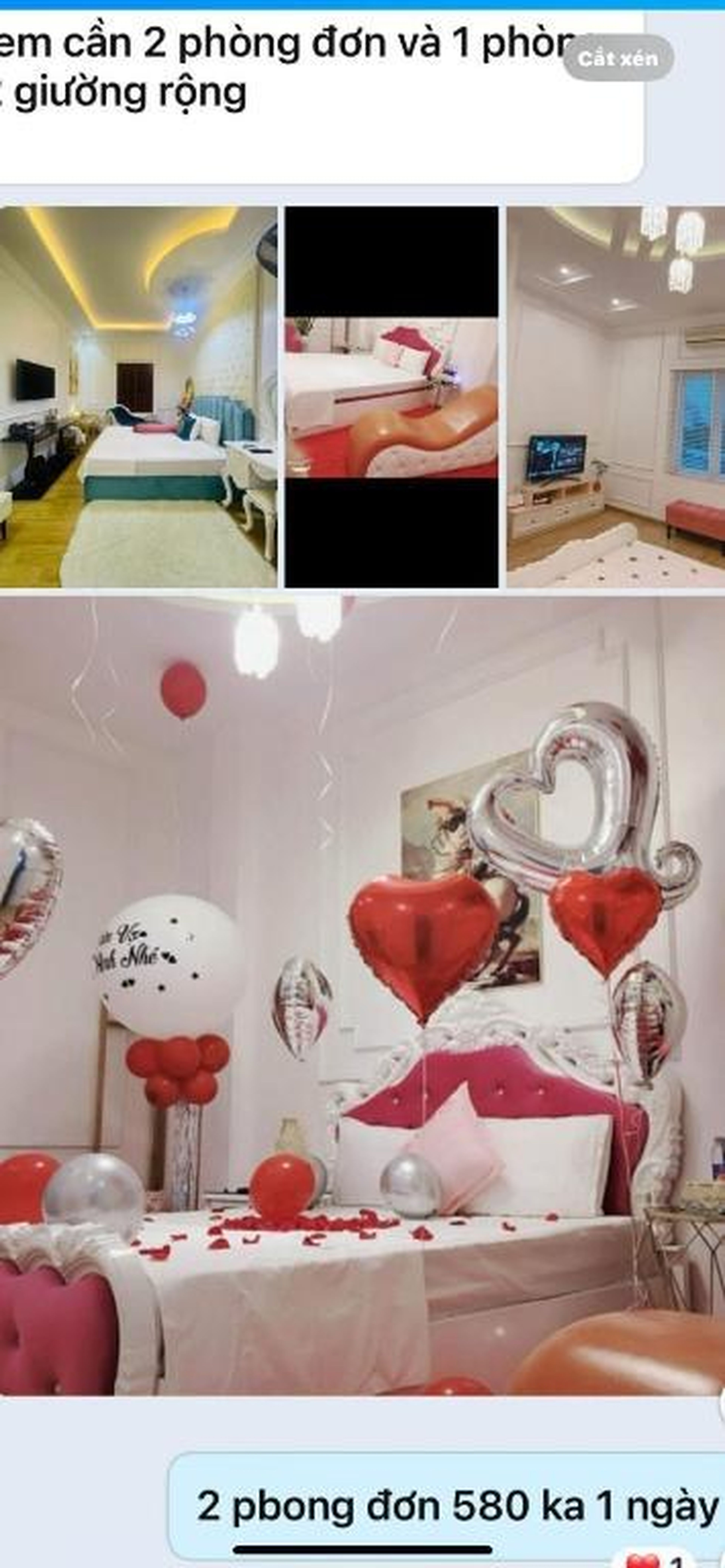 Luxury hotel t&l - Hình 5