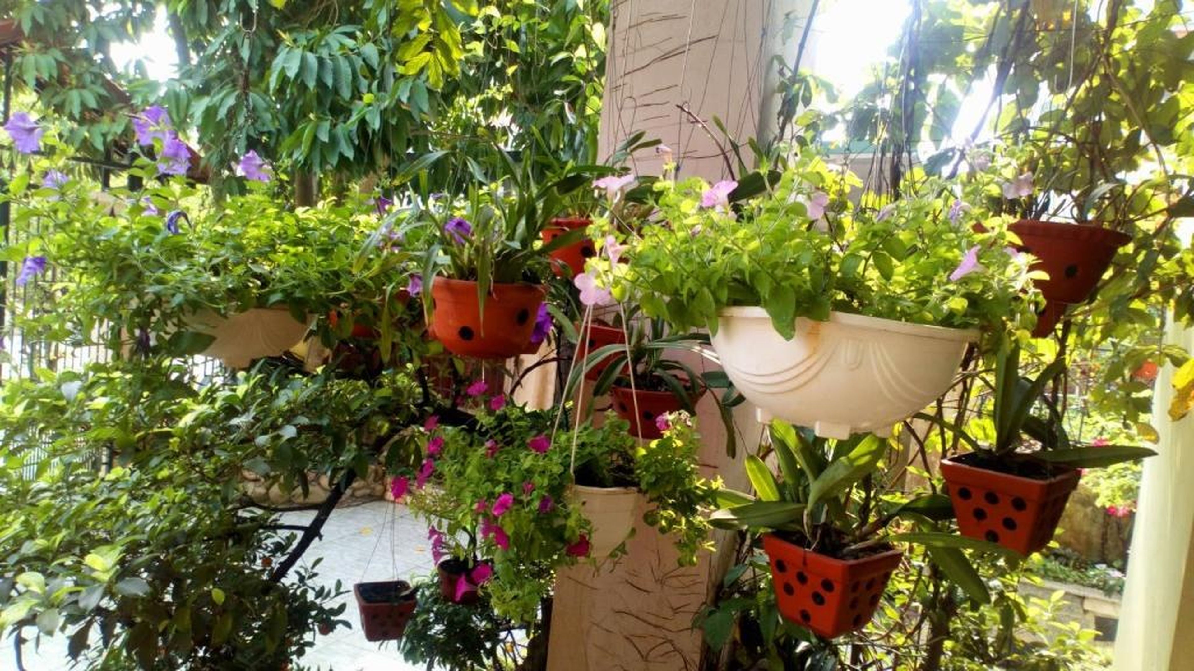 Hạ Long Lily Homestay - Hình 12