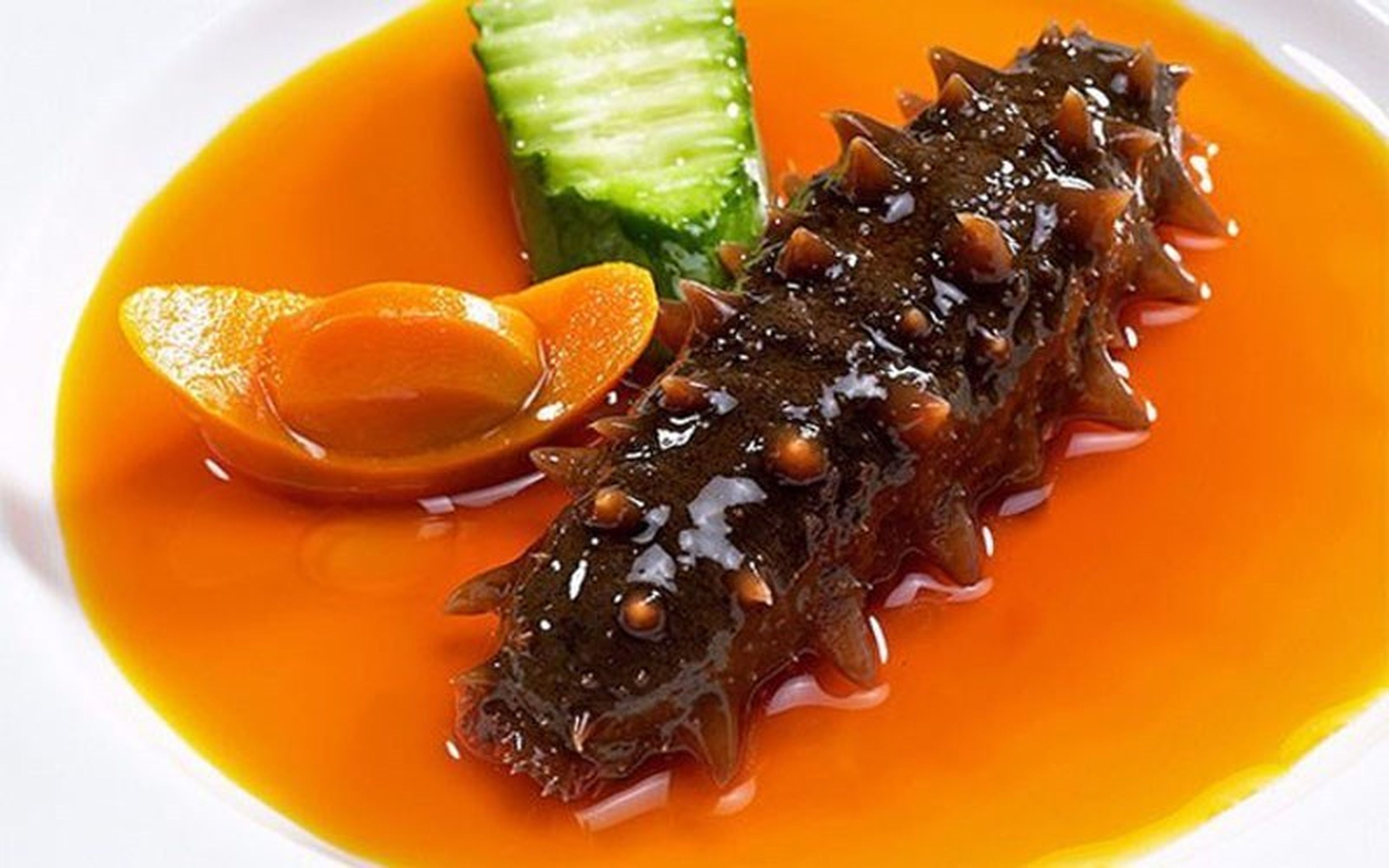 Hải Sâm Hạ Long - Món quà quý giá đến từ vùng biển cả Vịnh Thiên Đường - Hình 2