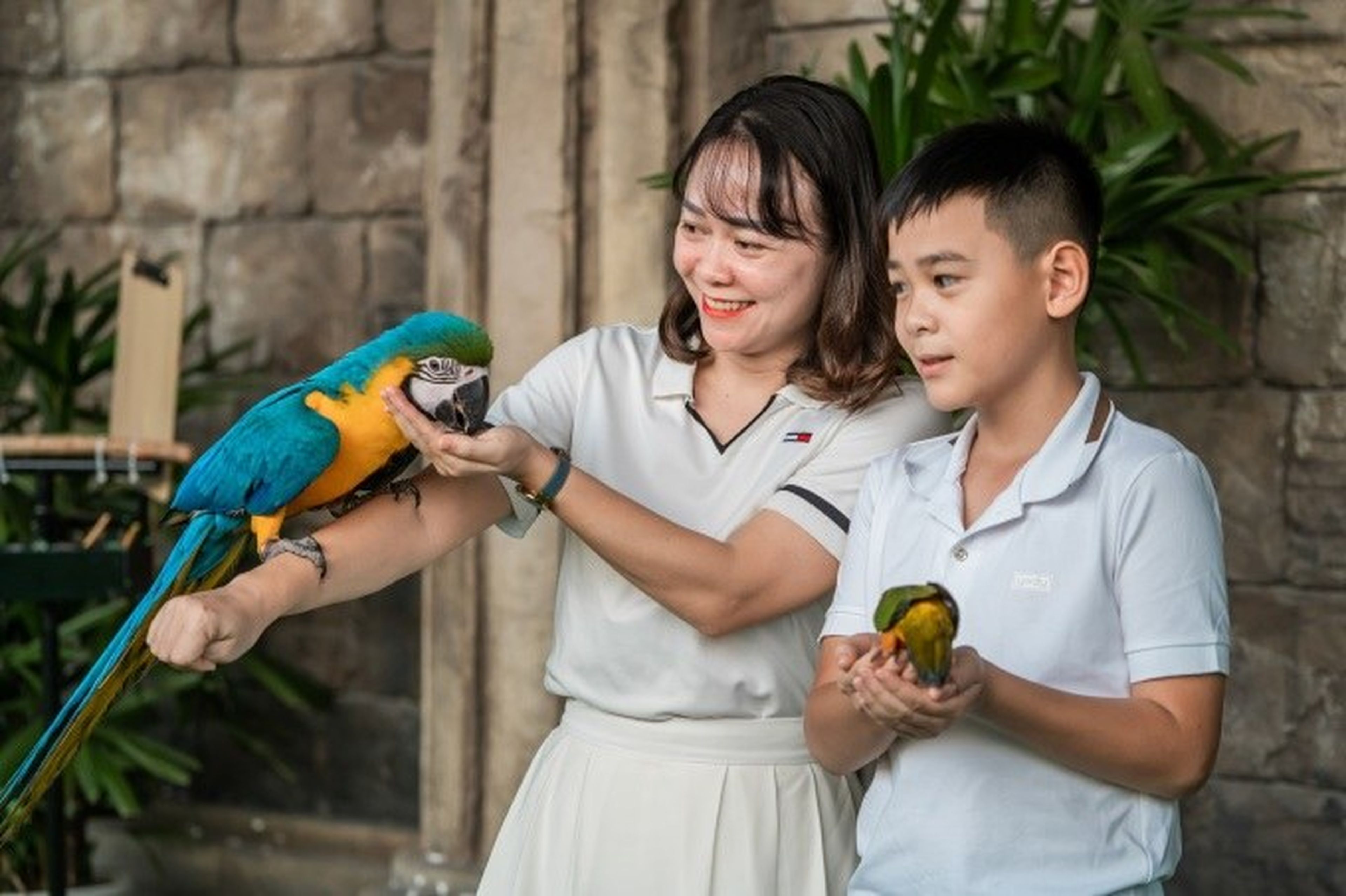 Sky Dance Show – A Unique Experience with Many Rare Bird Species - Hình 4