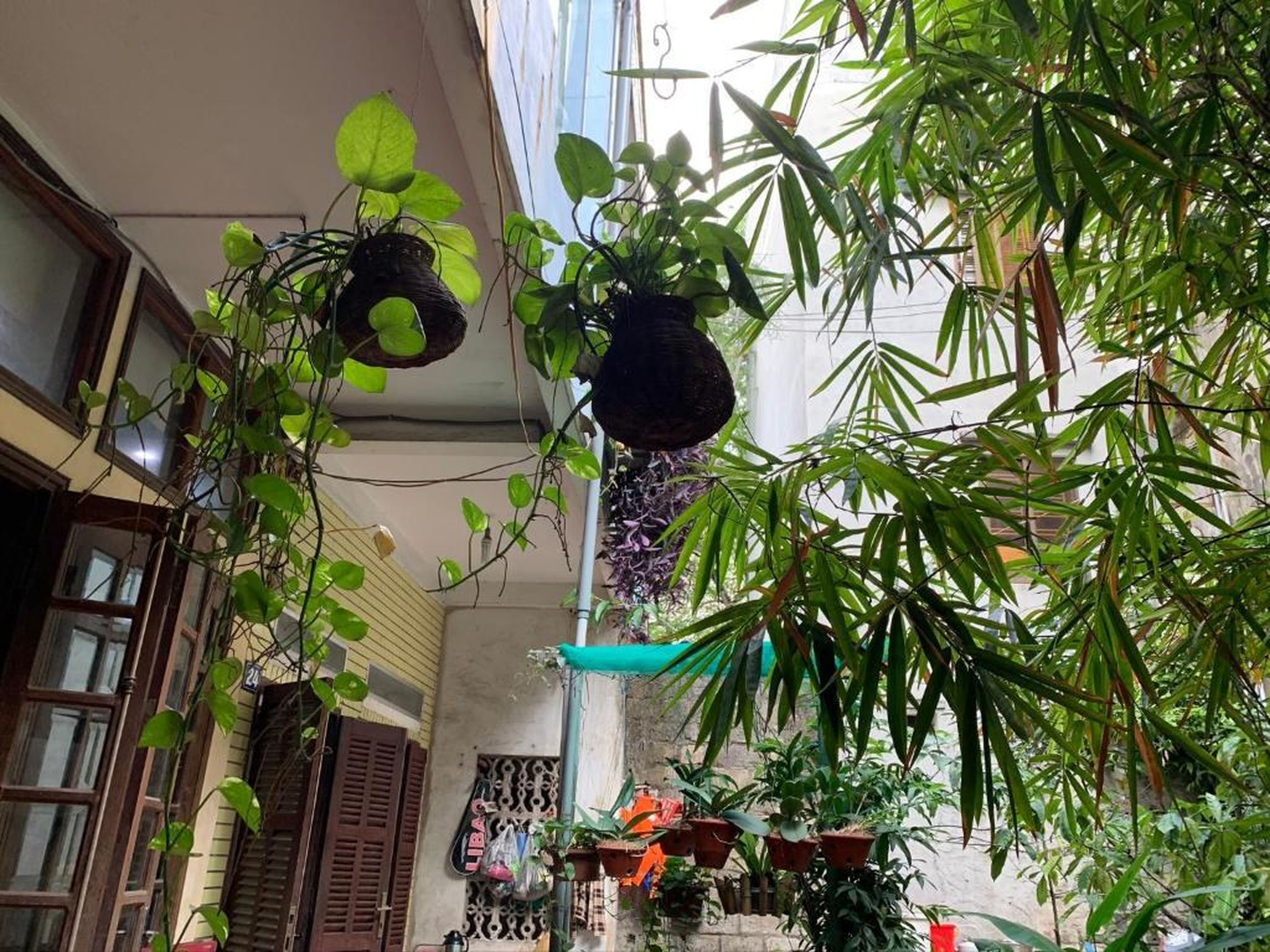 Halo Bay Homestay - Hình 16