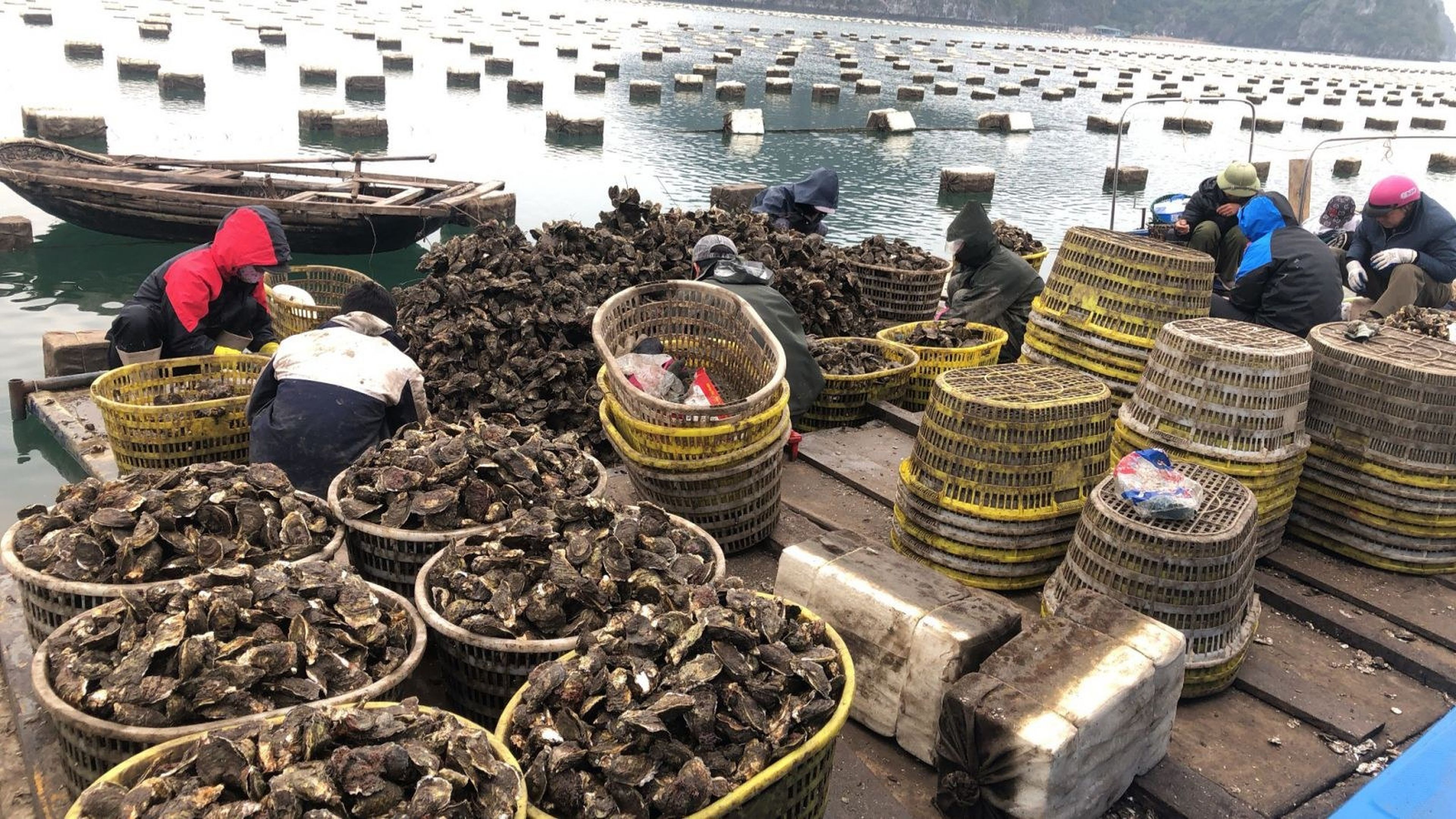 Pacific Oyster Specialty in Van Don - Hình 3