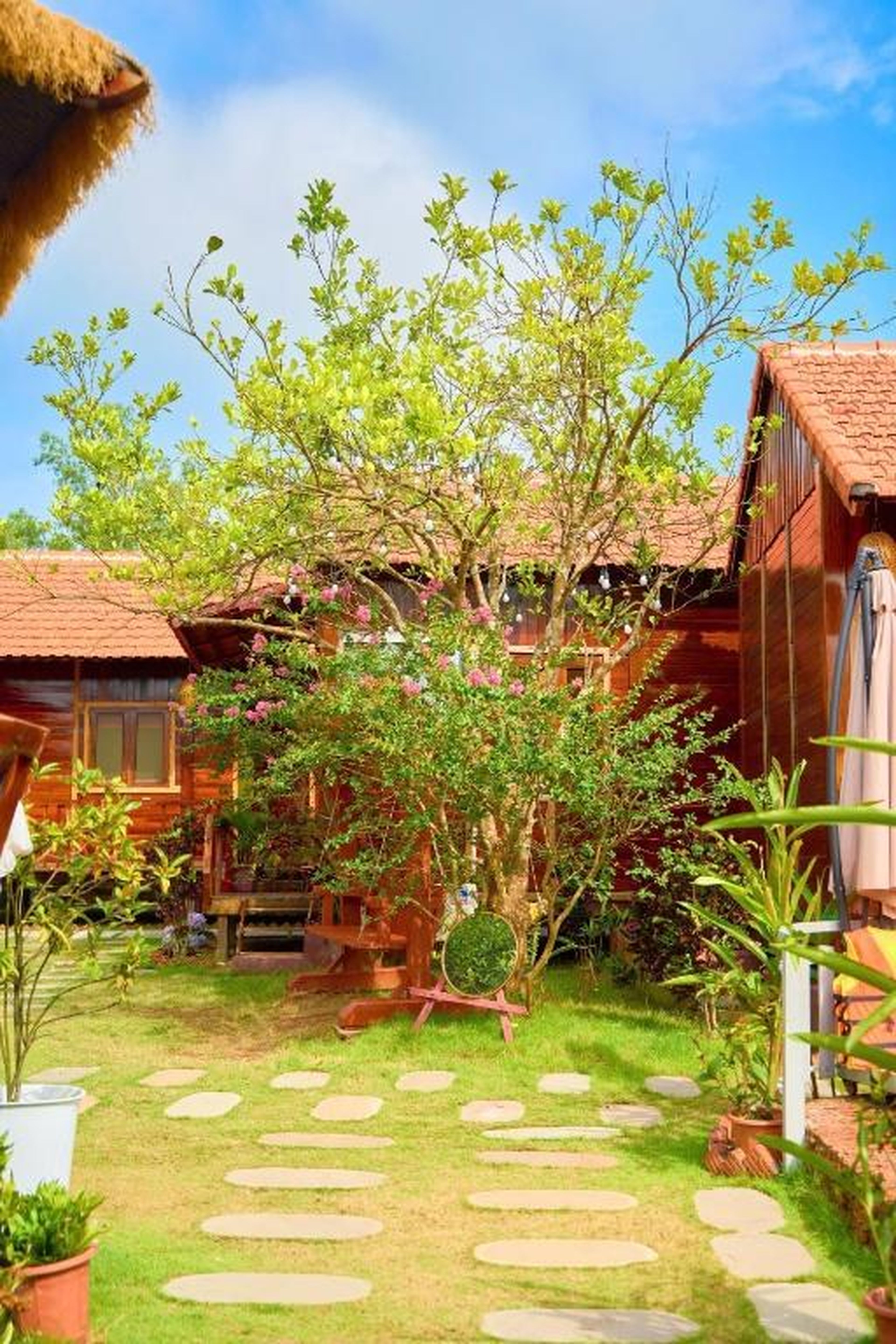 Co To Victory Homestay - Hình 25