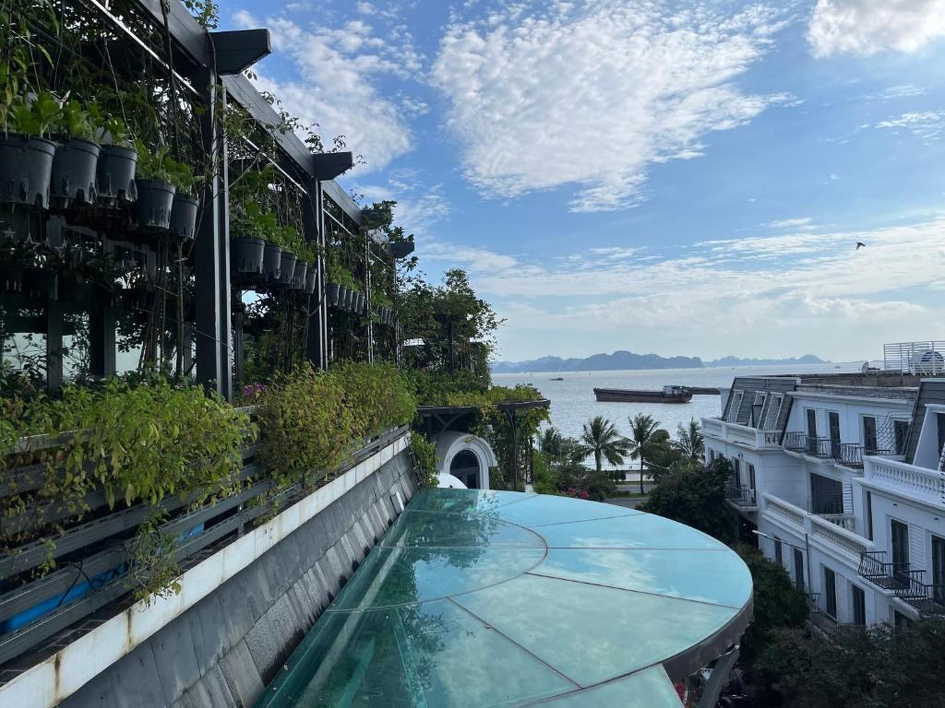 Paris Of Dragon Bay - Hình 6