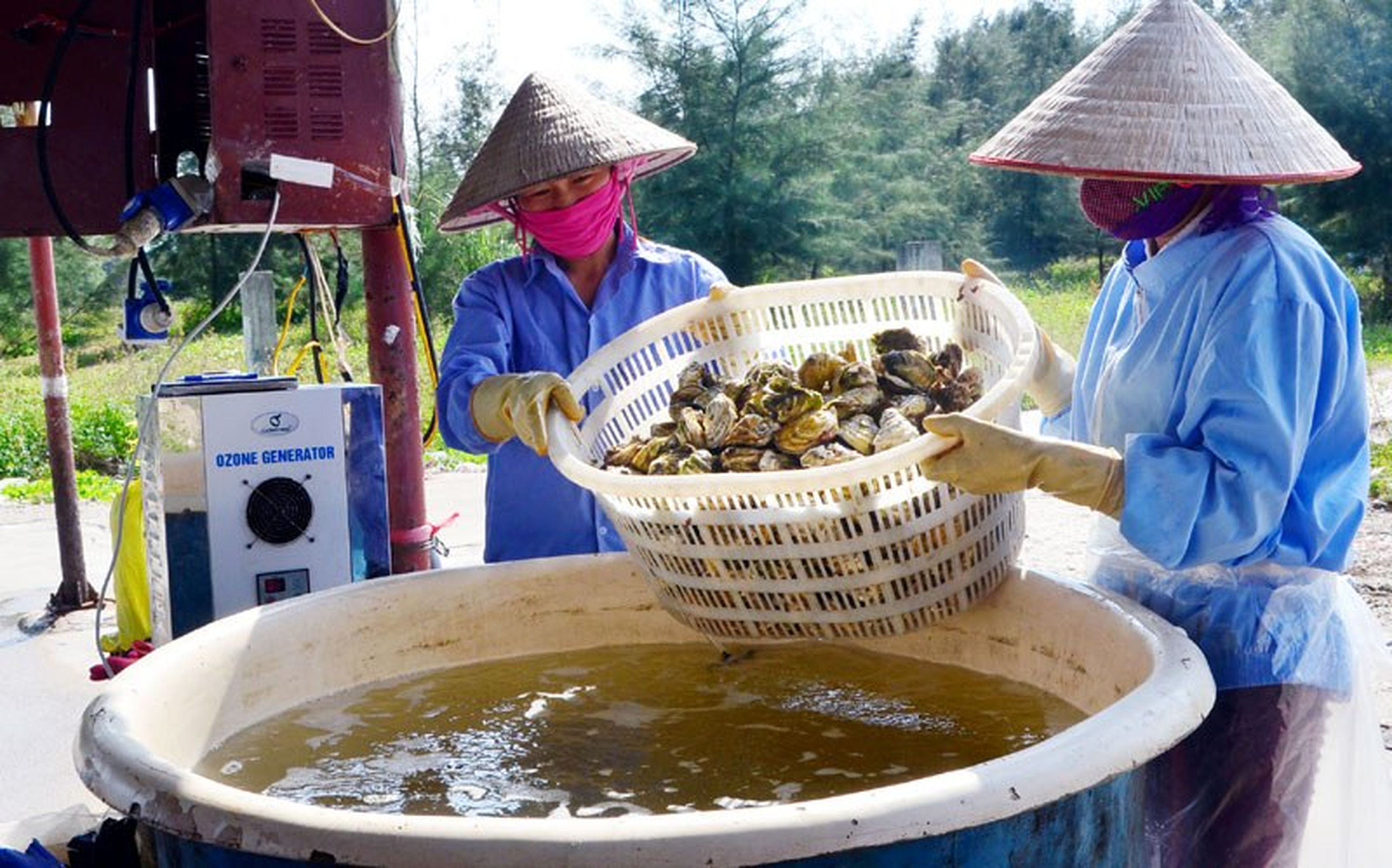 Pacific Oyster Specialty in Van Don - Hình 7