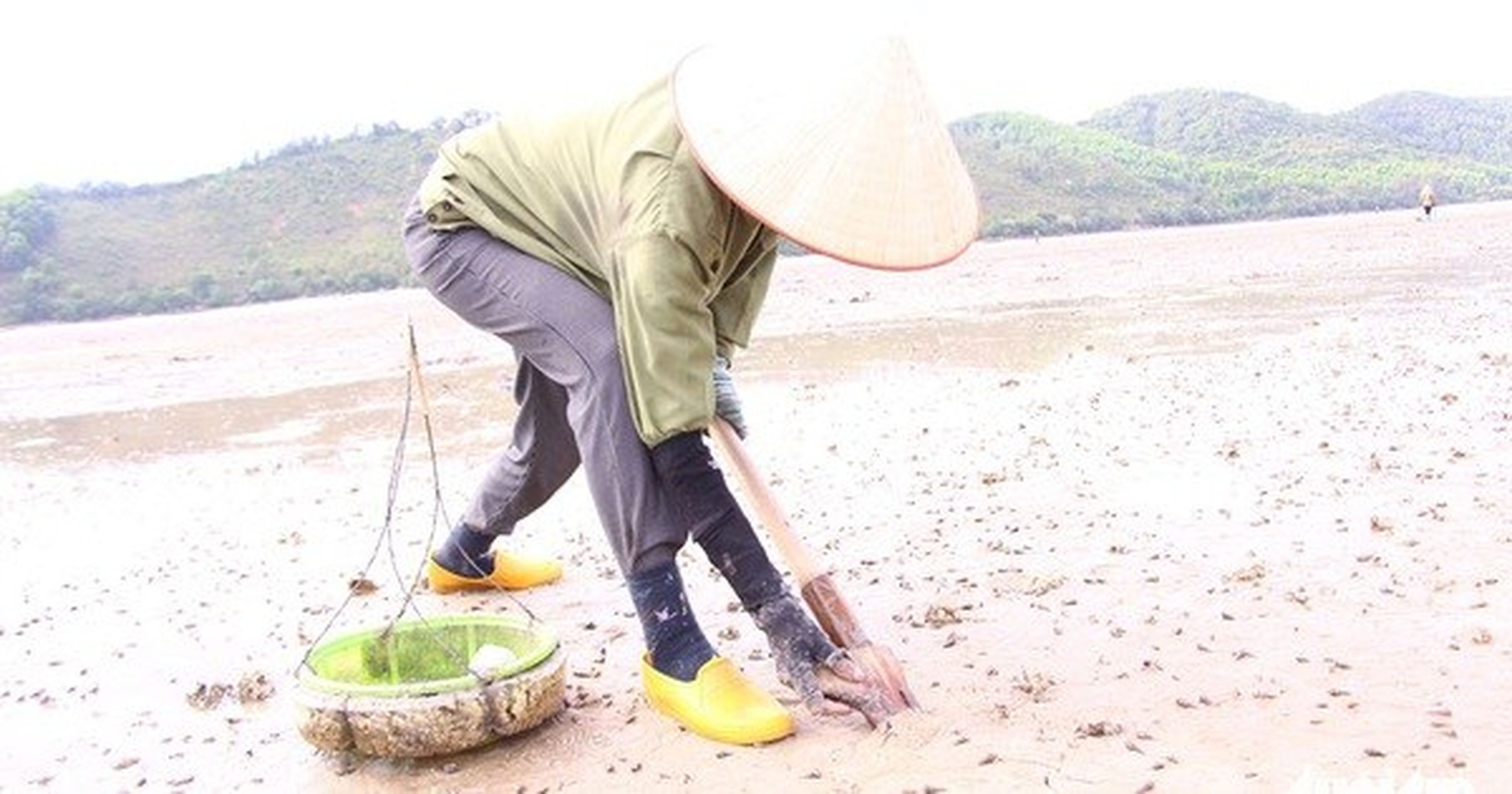 An Unforgettable Vân Đồn Trip with the Rare and Nutritious Sá Sùng Specialty - Hình 10
