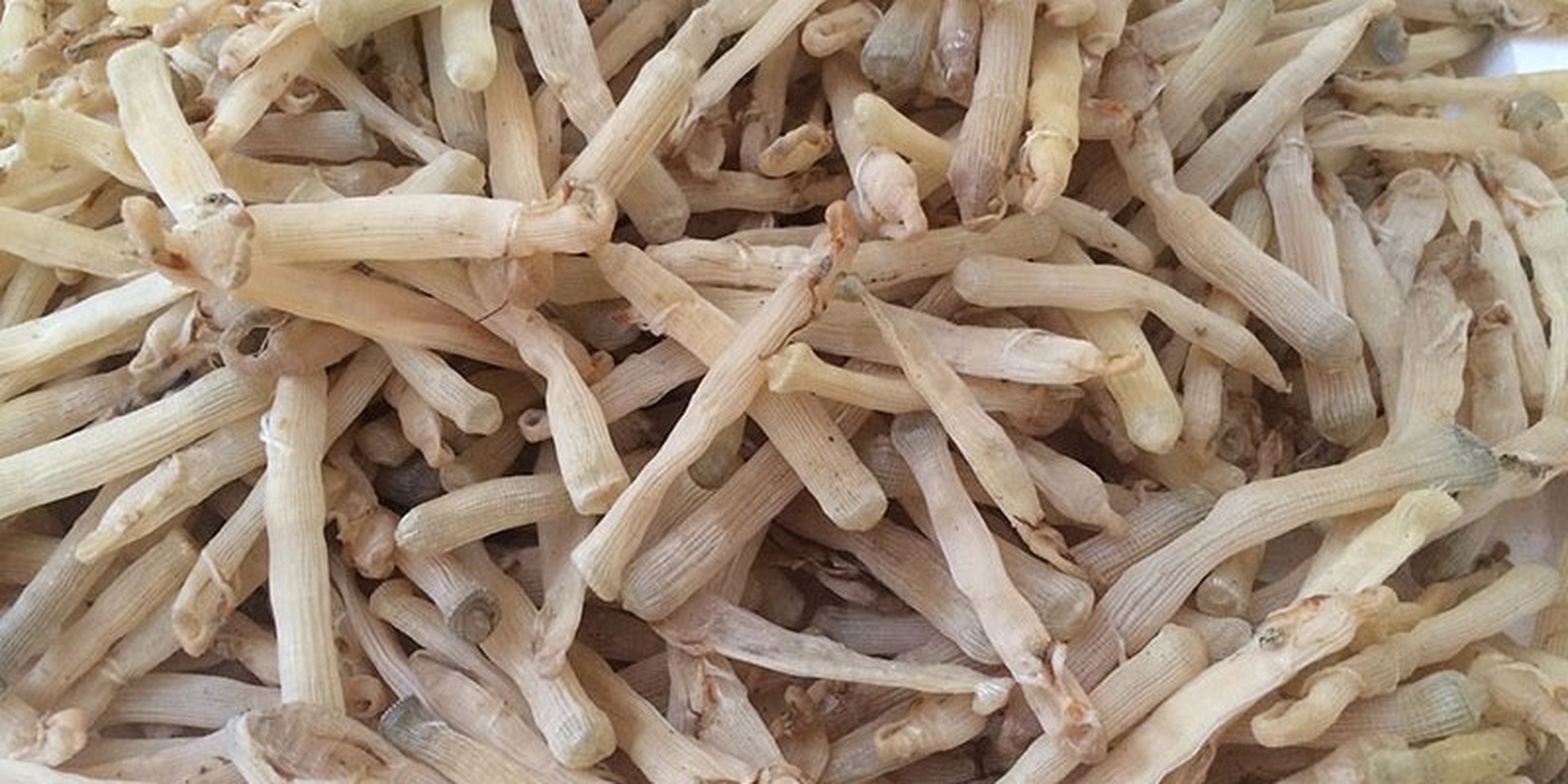 Top 15 đặc sản Hạ Long nổi tiếng trứ danh ai cũng say mê - Hình 4
