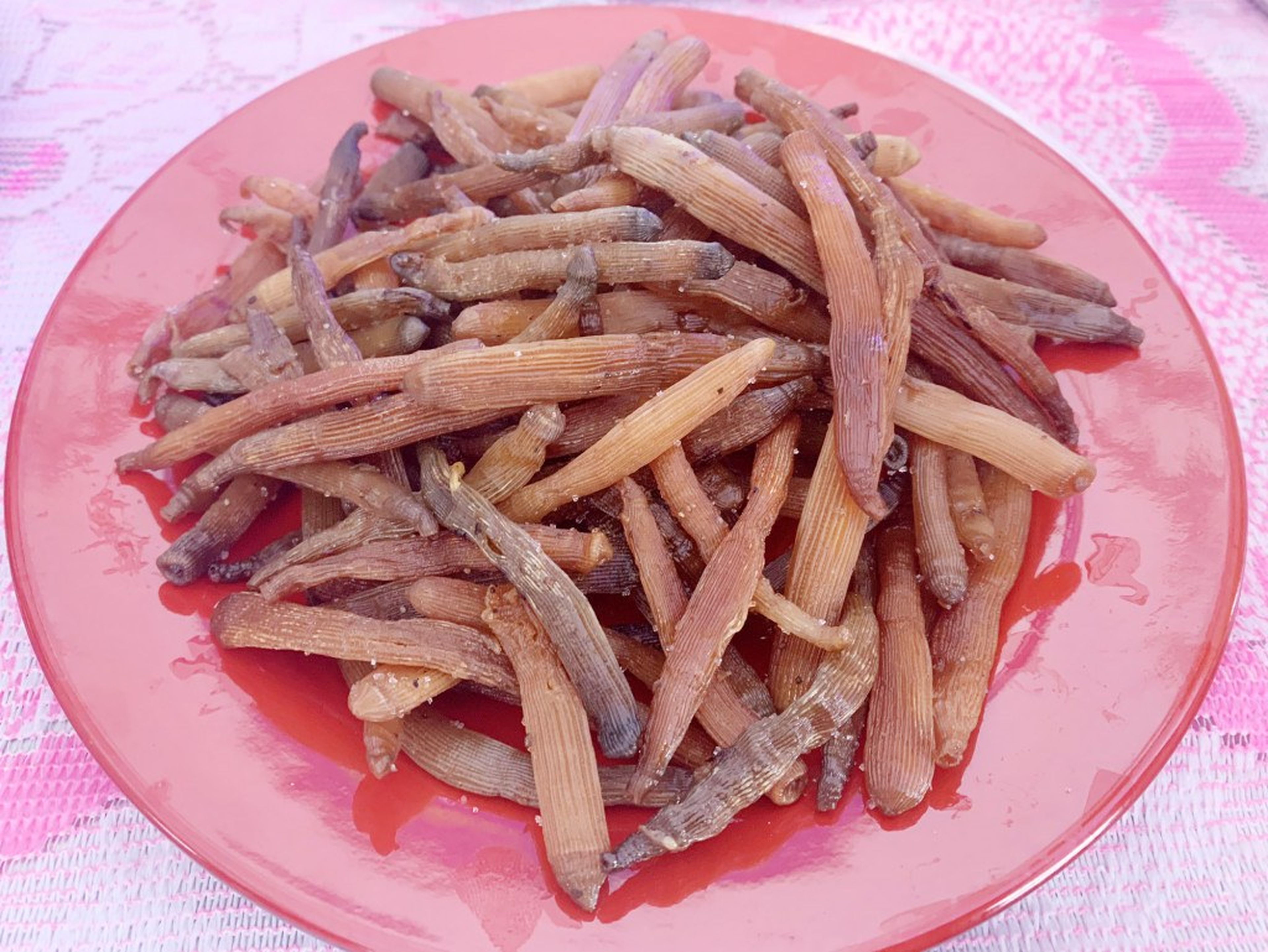 An Unforgettable Vân Đồn Trip with the Rare and Nutritious Sá Sùng Specialty - Hình 7
