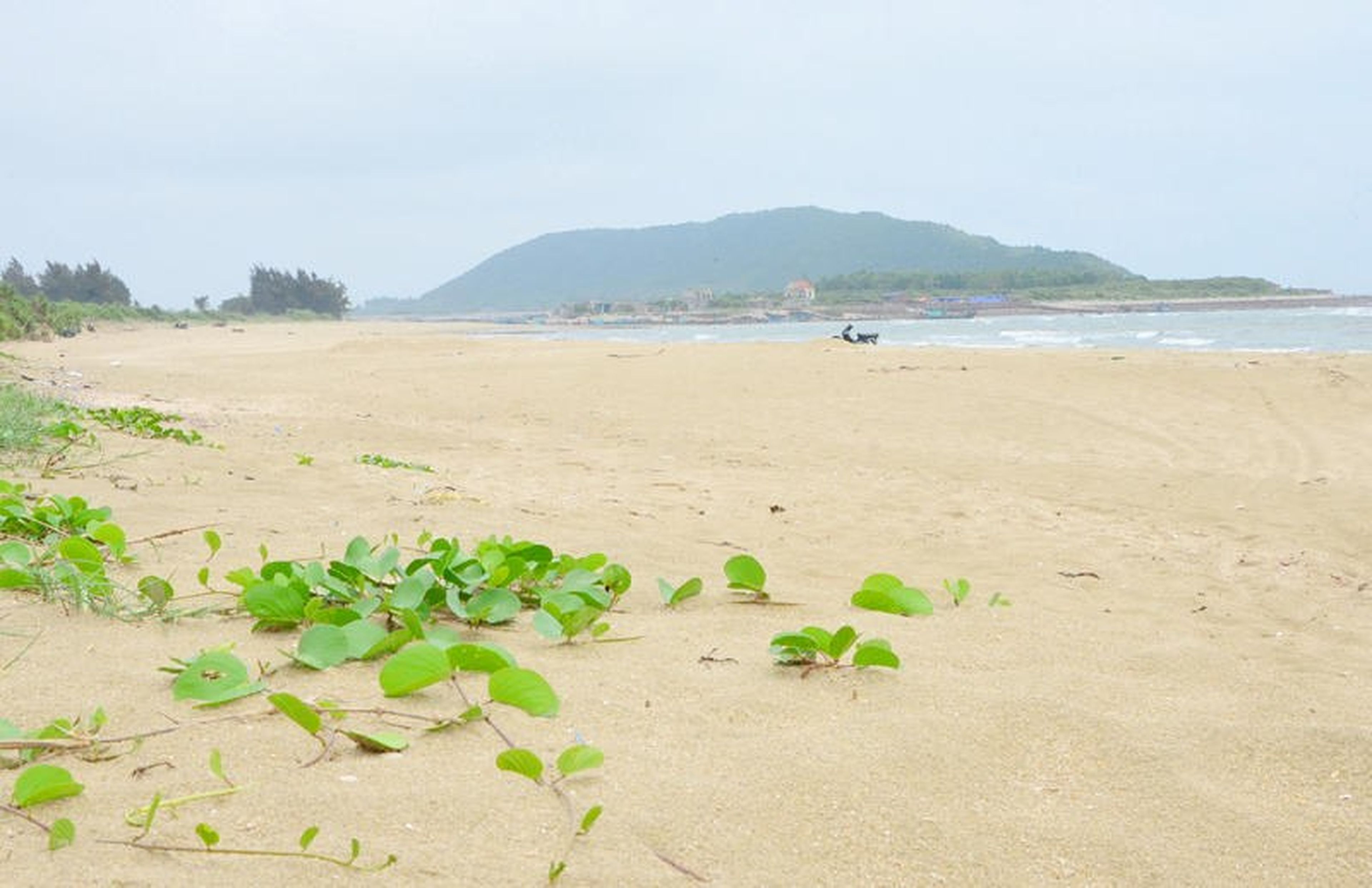 Khám phá Đảo Vĩnh Thực đầy nắng và gió ở Quảng Ninh - Hình 2