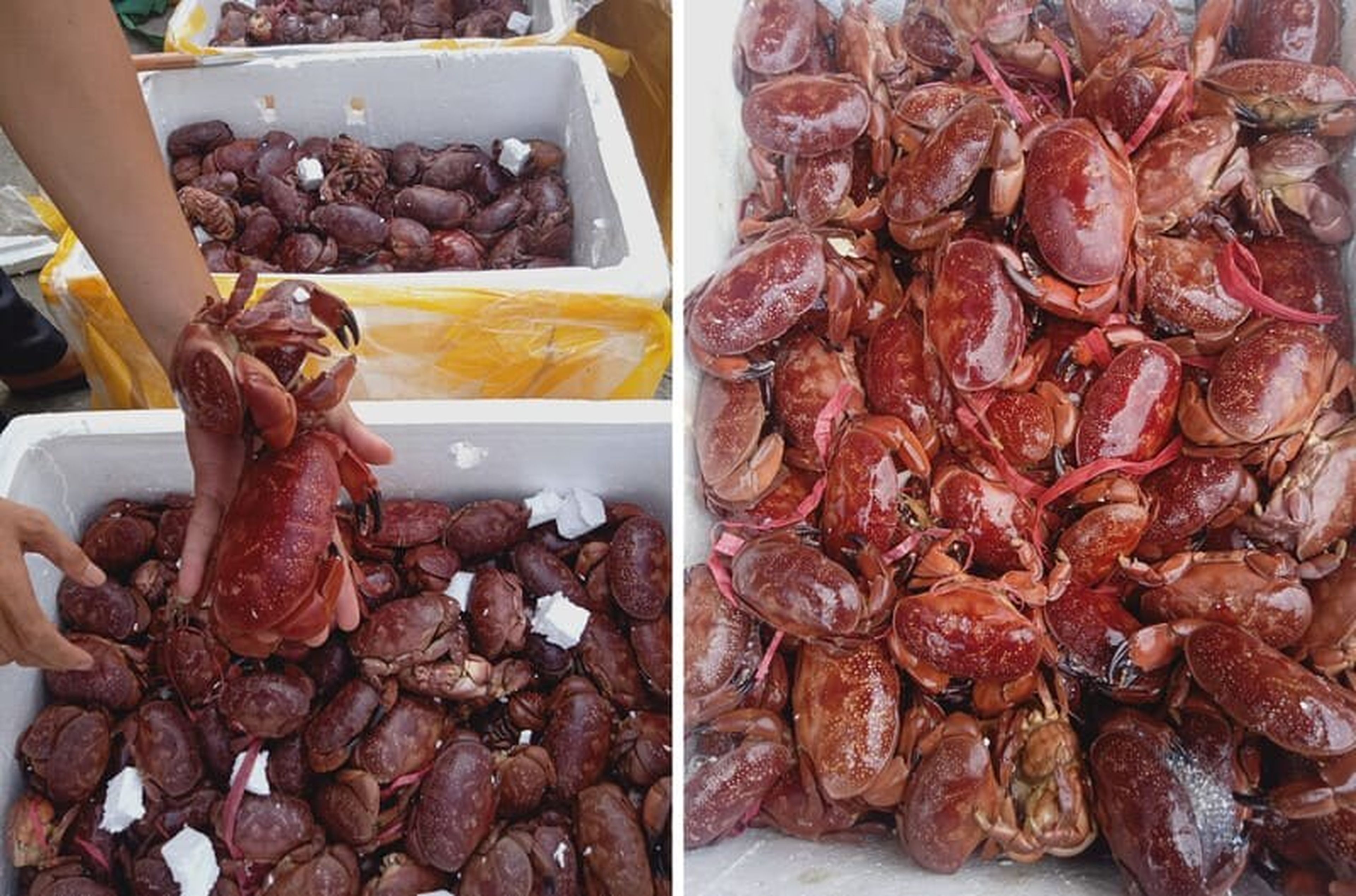 Đặc sản cù kỳ, món ăn lạ nổi tiếng xứ than - Hình 2