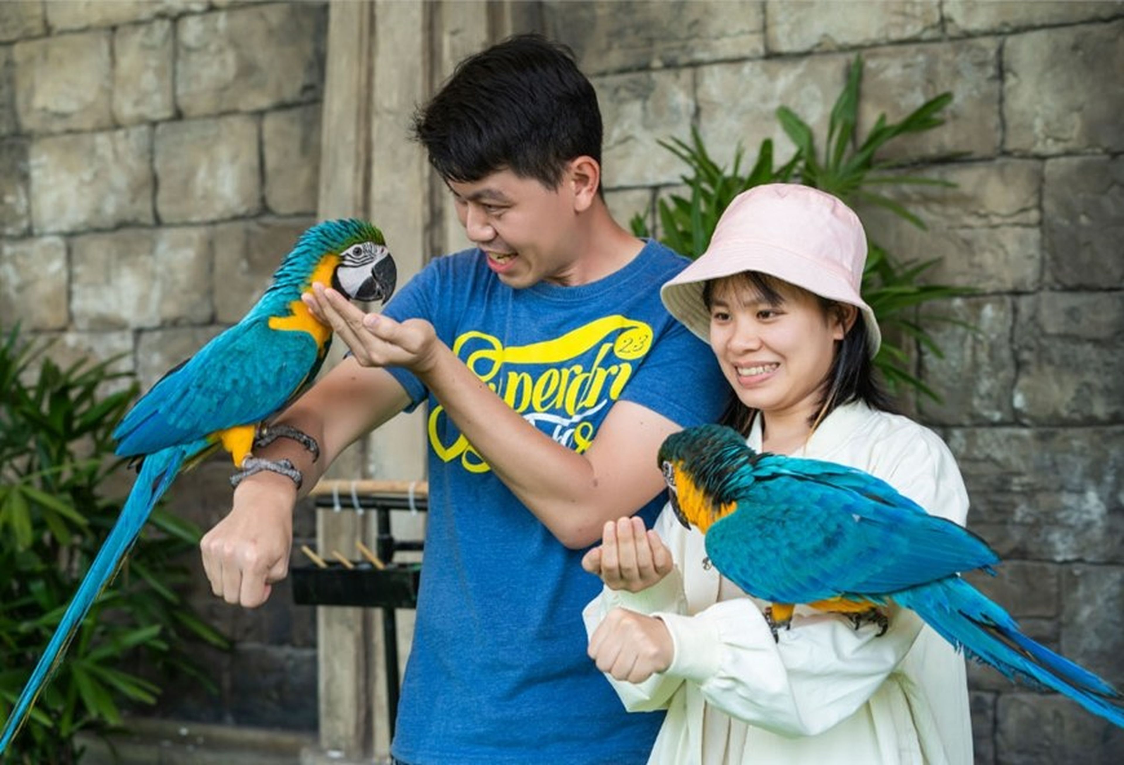 Sky Dance Show – A Unique Experience with Many Rare Bird Species - Hình 1
