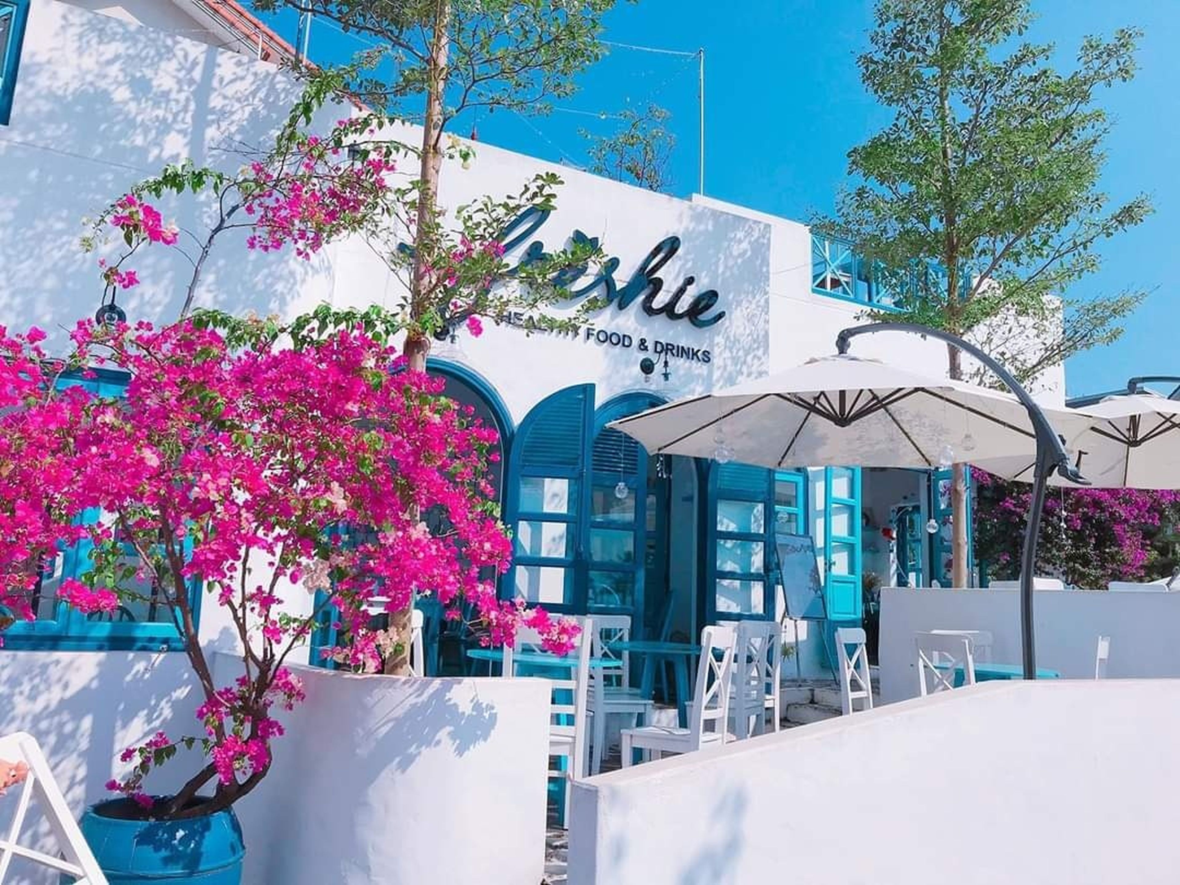 Top 8 Cafés in Ha Long with Stunning Instagrammable Corners - Hình 18