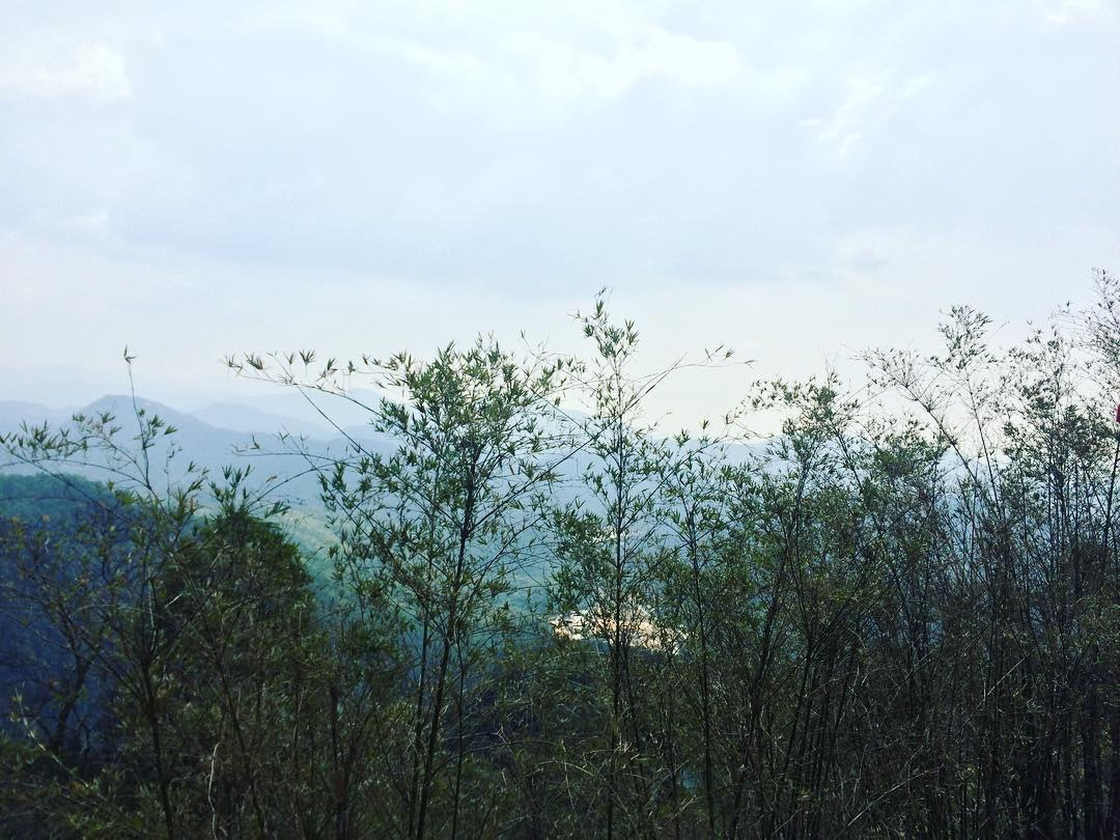安子寺——离开喧嚣都市，朝圣清净之地 - Hình 2