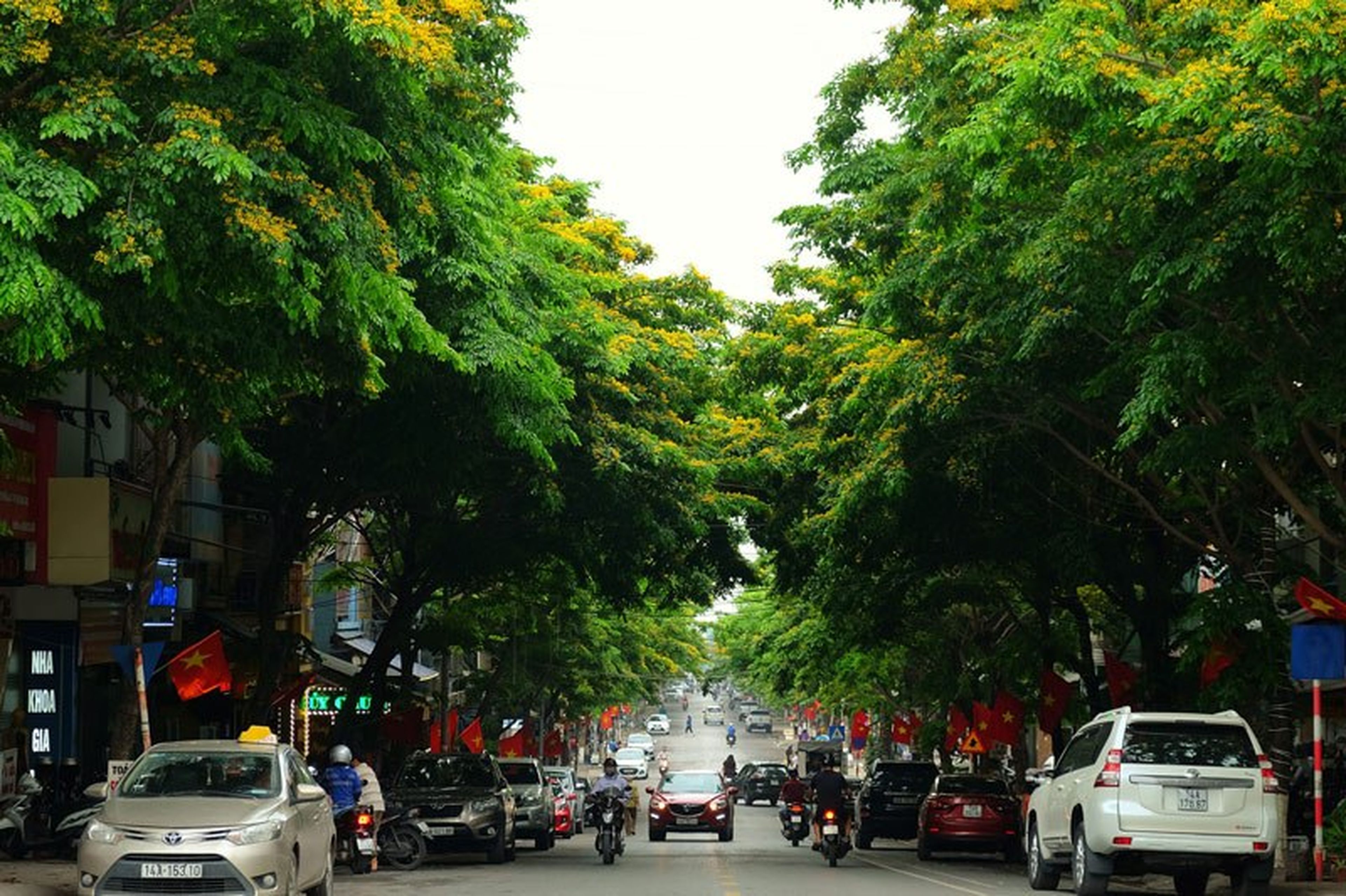 Cẩm nang du lịch Cẩm Phả, Quảng Ninh với 7 điểm đến tuyệt vời - Hình 8