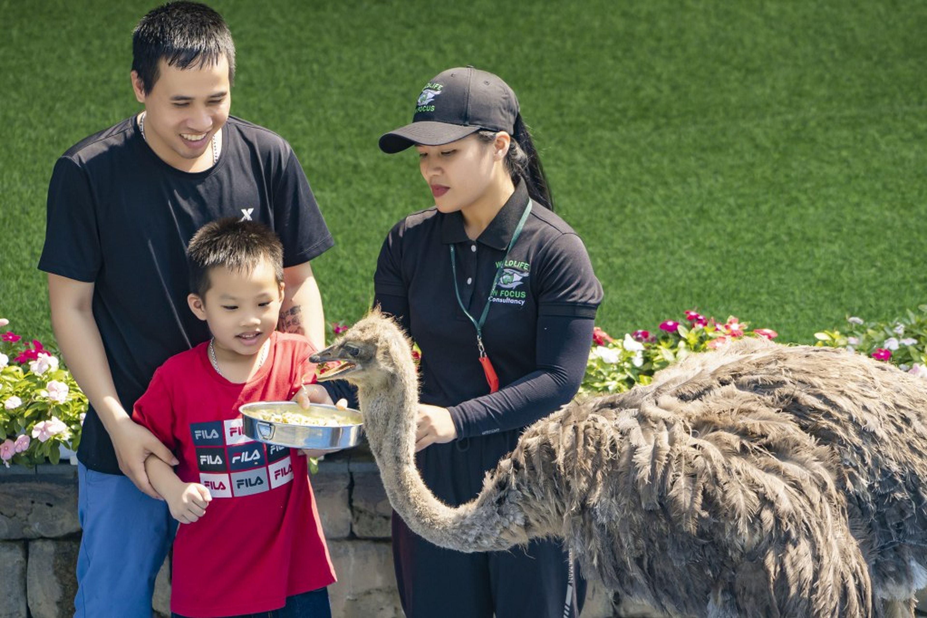 Sky Dance Show – A Unique Experience with Many Rare Bird Species - Hình 3