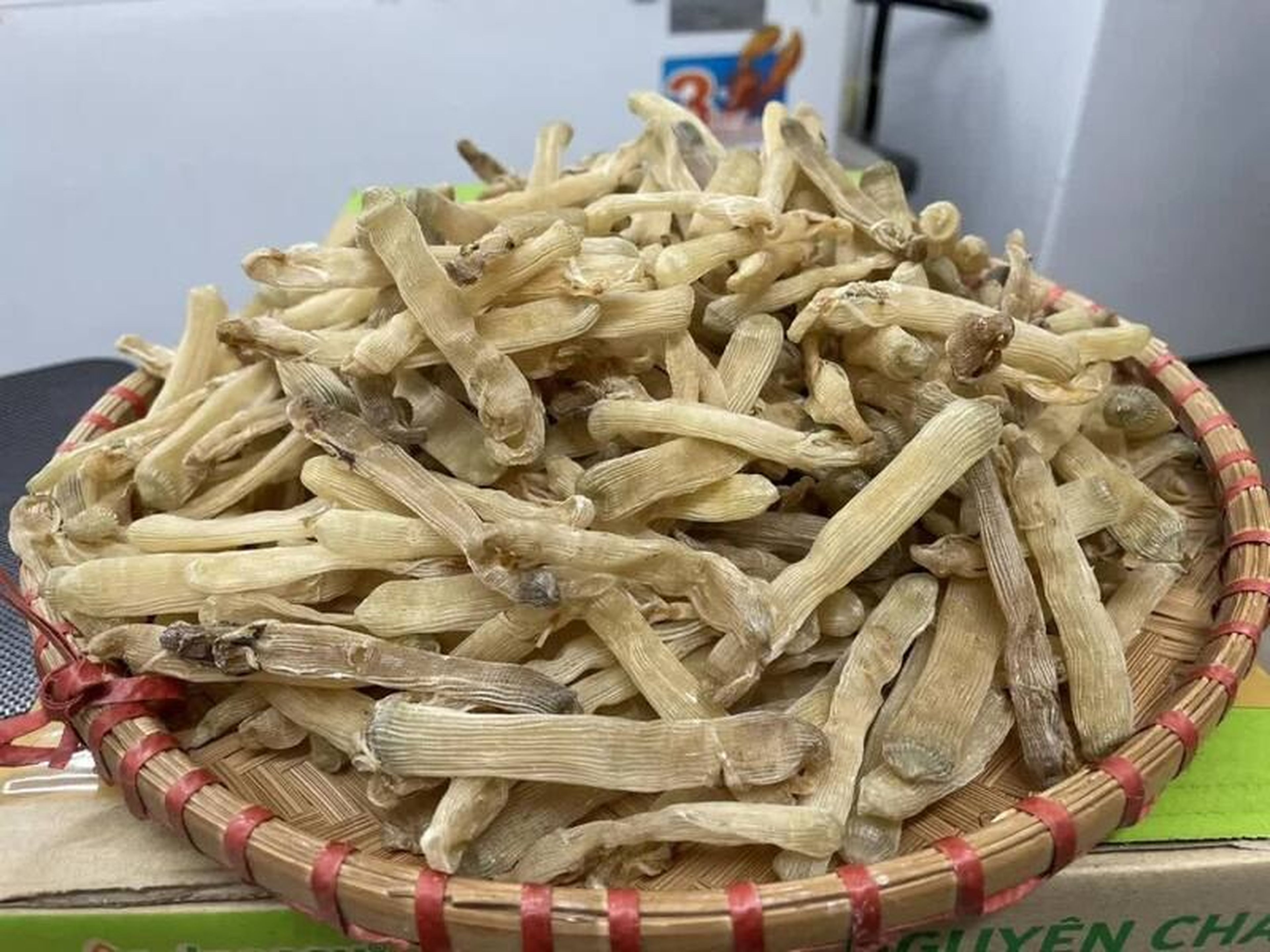 Bãi Cháy Hạ Long: Mảnh ghép dịu mát giữa ngày hè Quảng Ninh - Hình 9