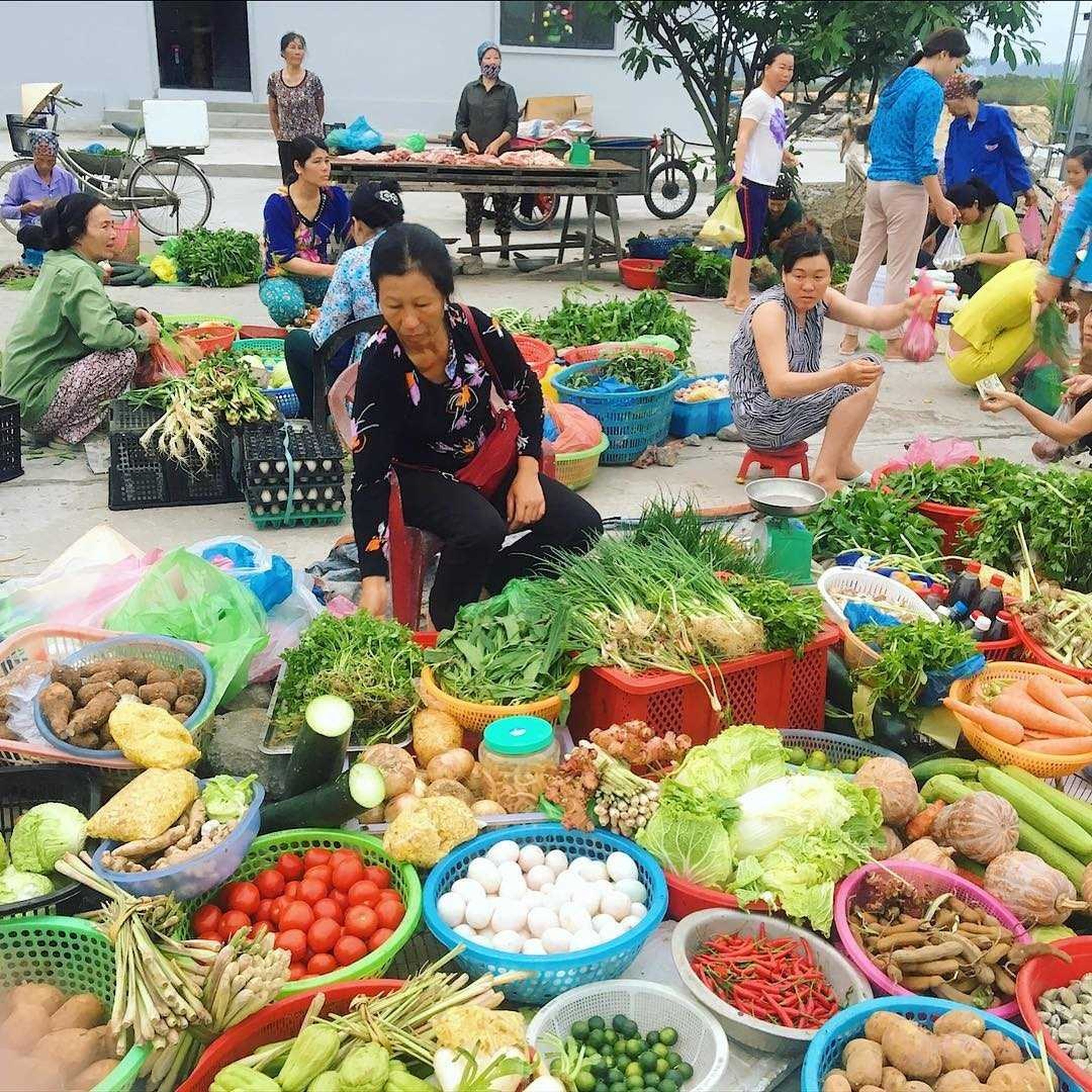 Du lịch Đảo Quan Lạn chiêm ngưỡng vẻ đẹp thiên nhiên hoang sơ - Hình 25