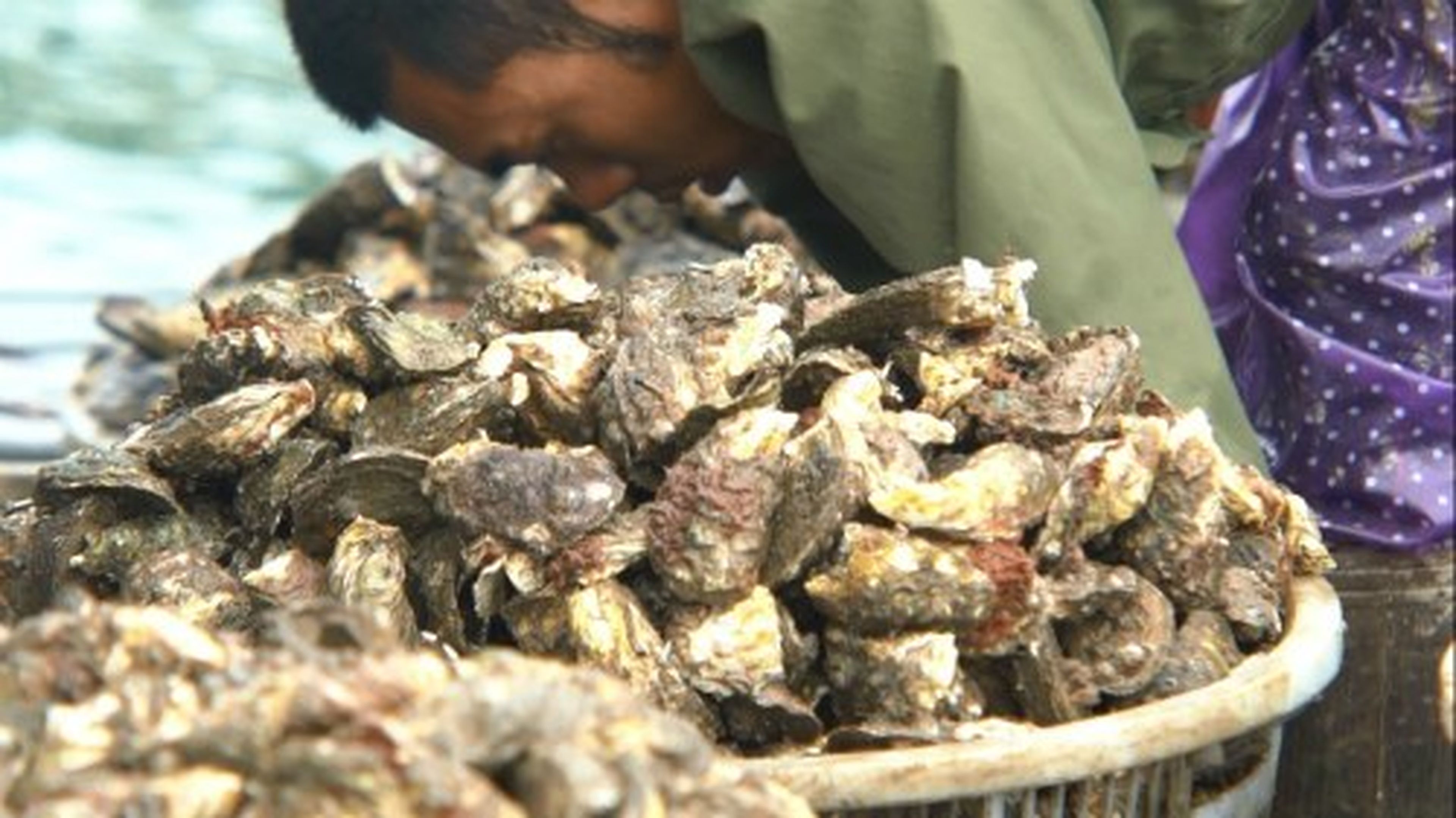Pacific Oyster Specialty in Van Don - Hình 11