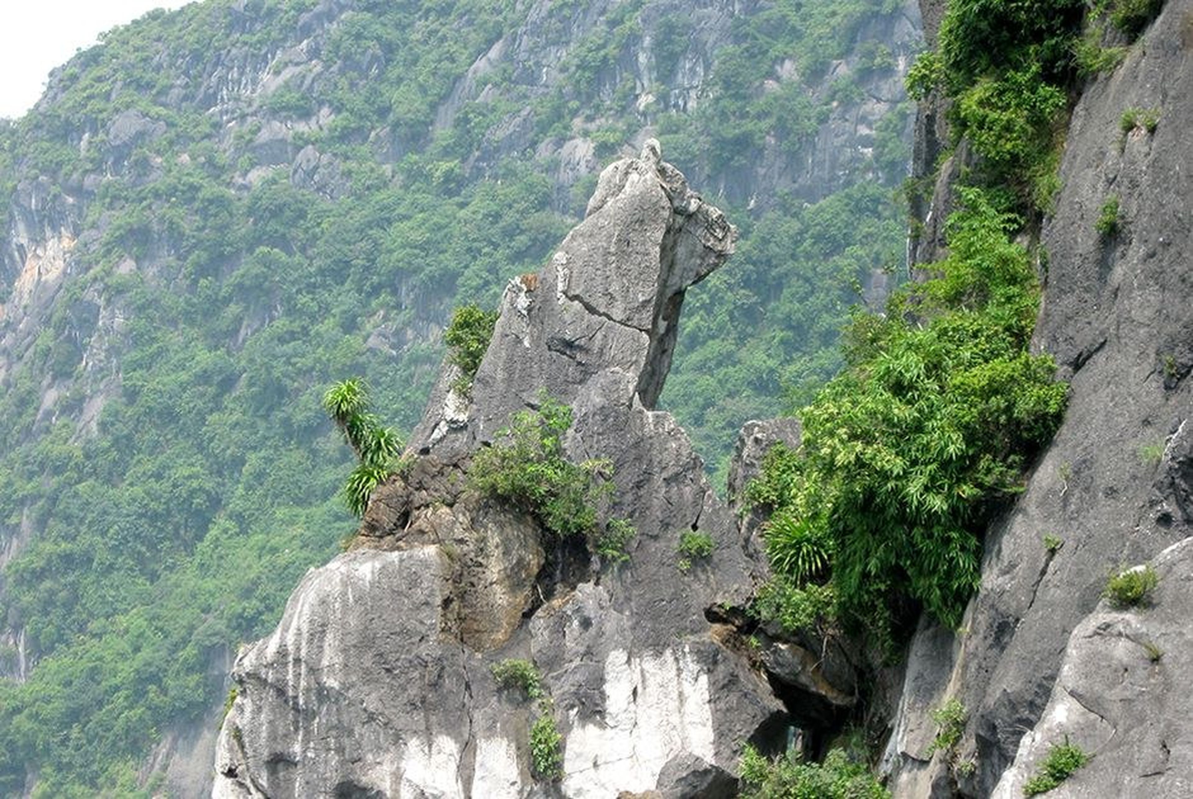 4-Day, 3-Night Northern Vietnam Tour: An Unforgettable Journey Exploring Hanoi – Ha Long – Ninh Binh – Sapa - Hình 3