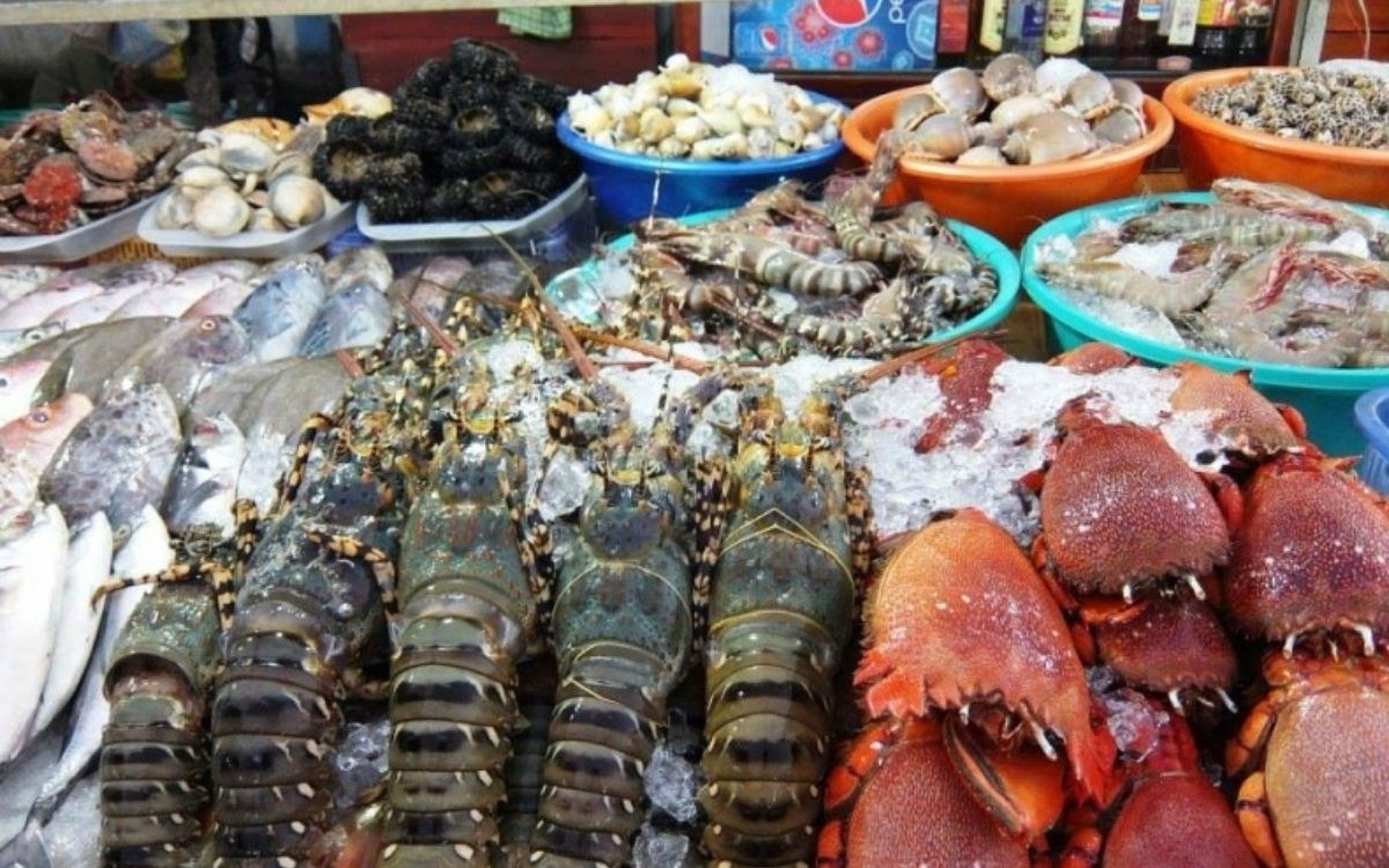 Khám phá những gian hàng sầm uất tại Chợ Hải sản Cái Dăm - Hình 5