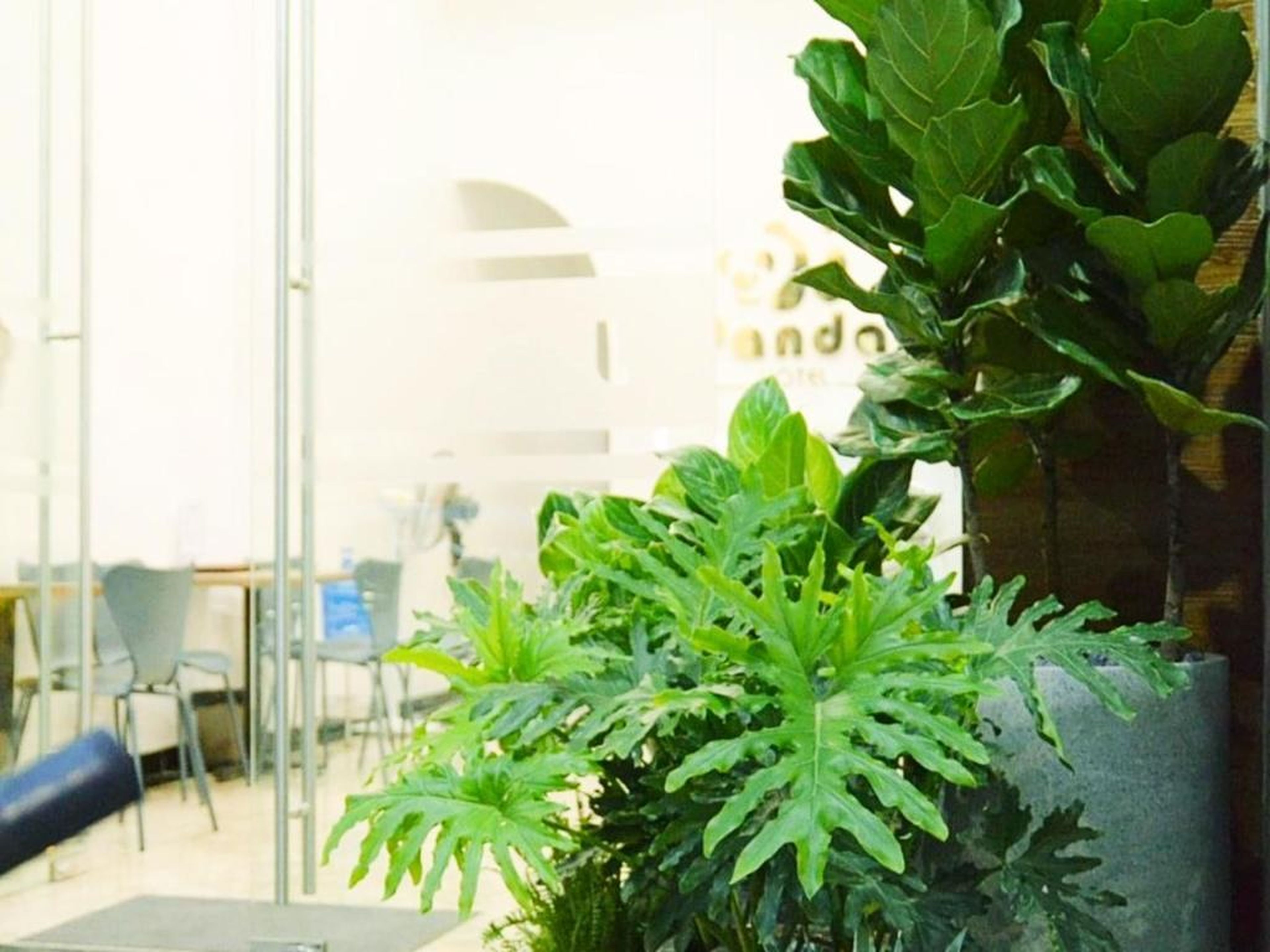 Bai Chay Panda Hotel - Hình 2