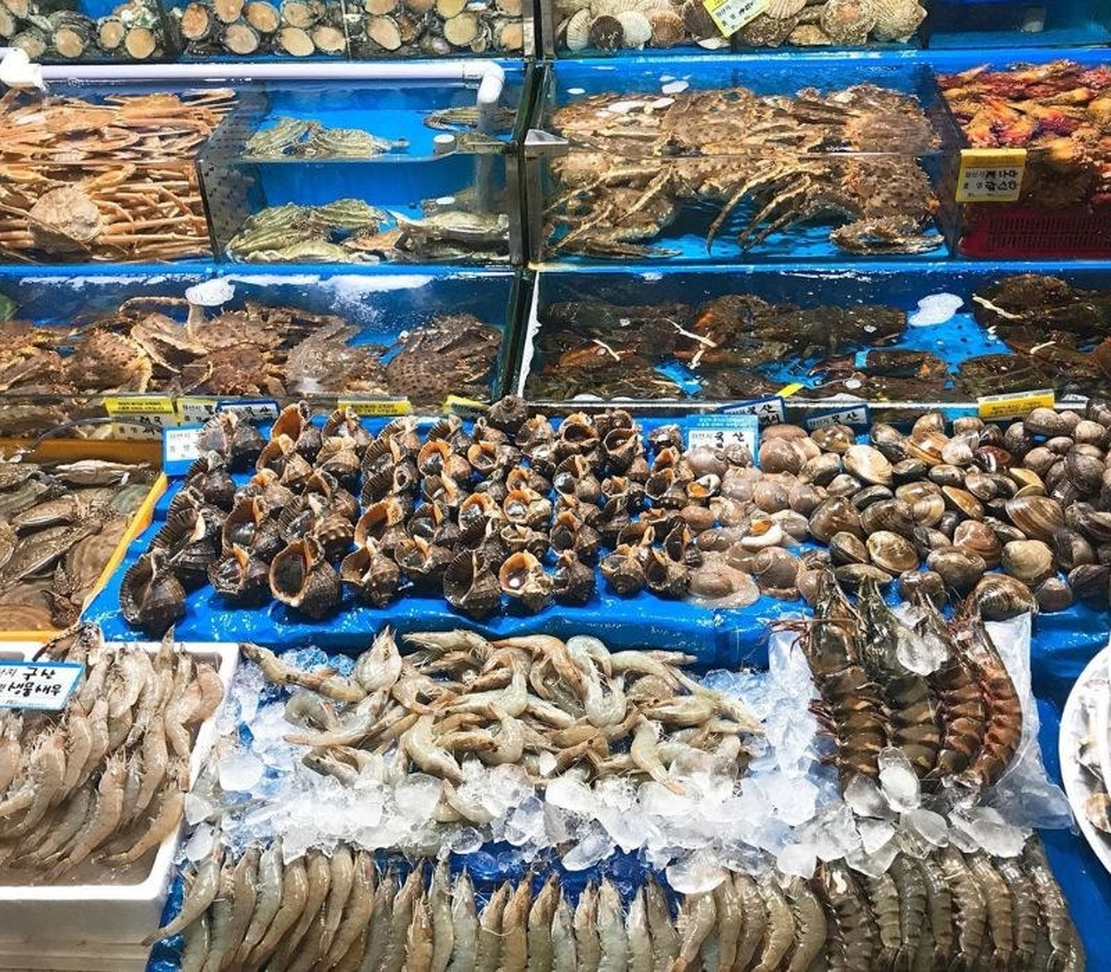 Quang Ninh Seafood: Culinary Quintessence from a Sea That Leaves a Lasting Impression - Hình 12