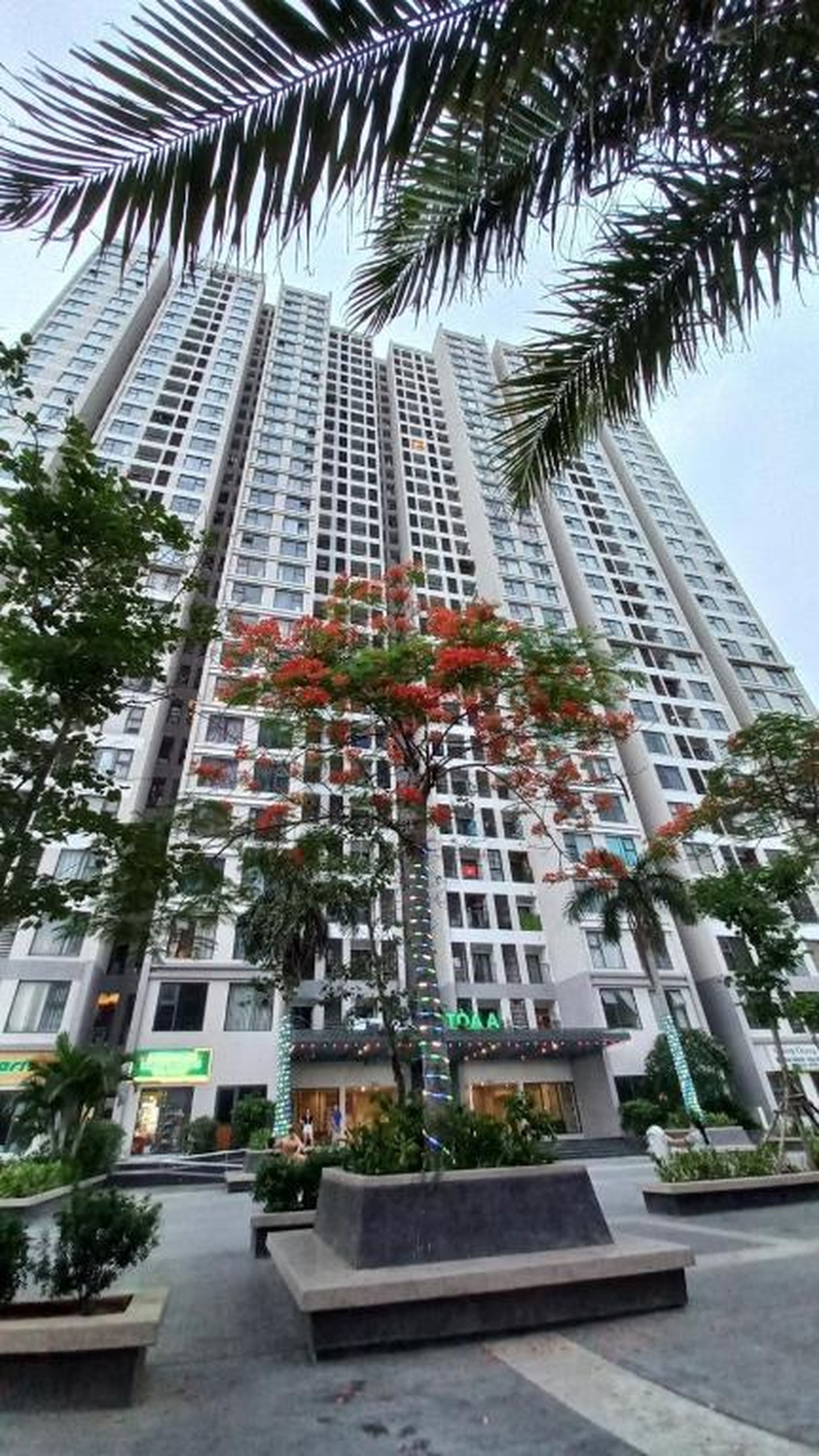 Huong Tran Homstay B1515 - Hình 3