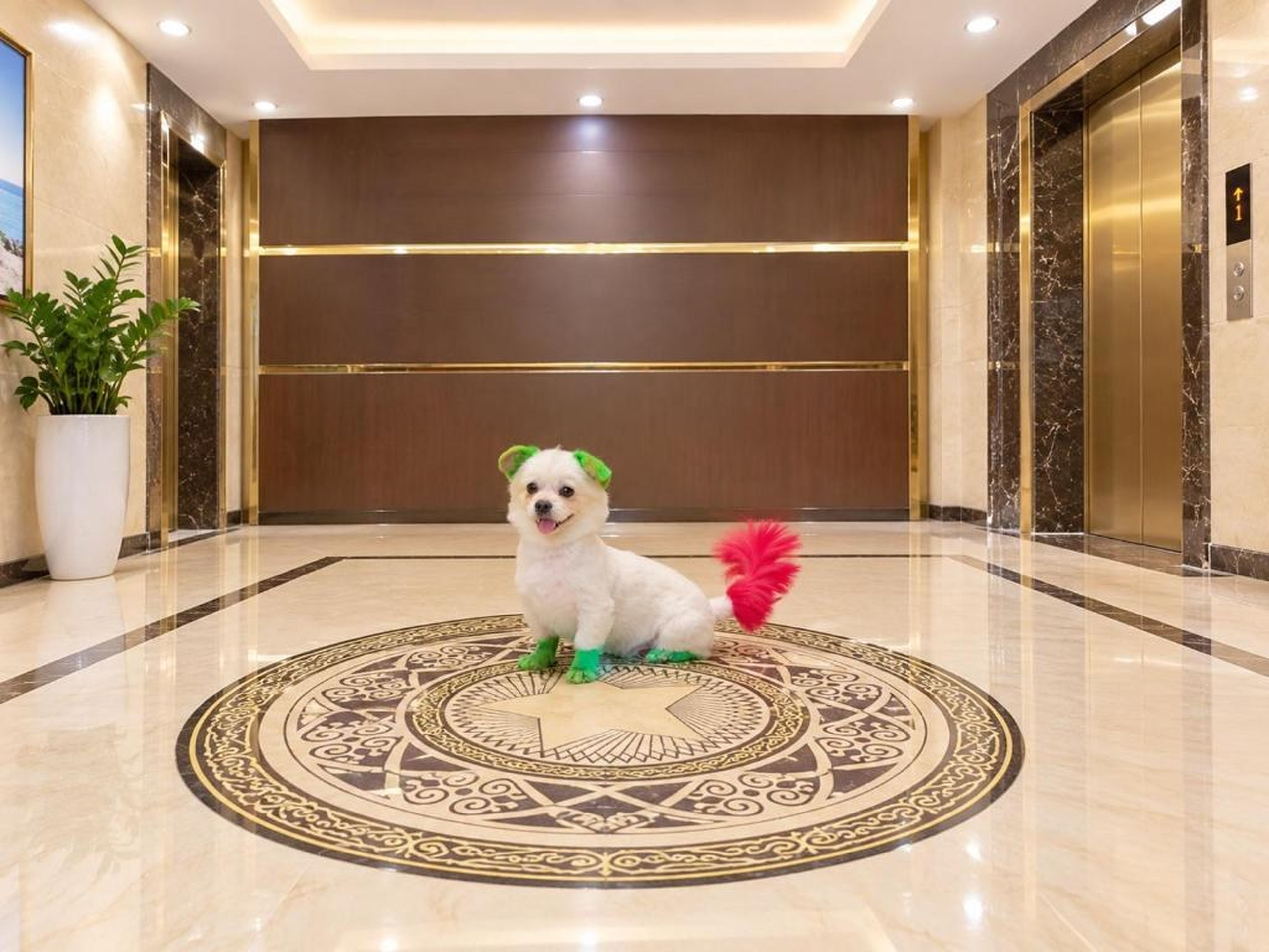 Hieu Thao Hotel Ha Long - Hình 31